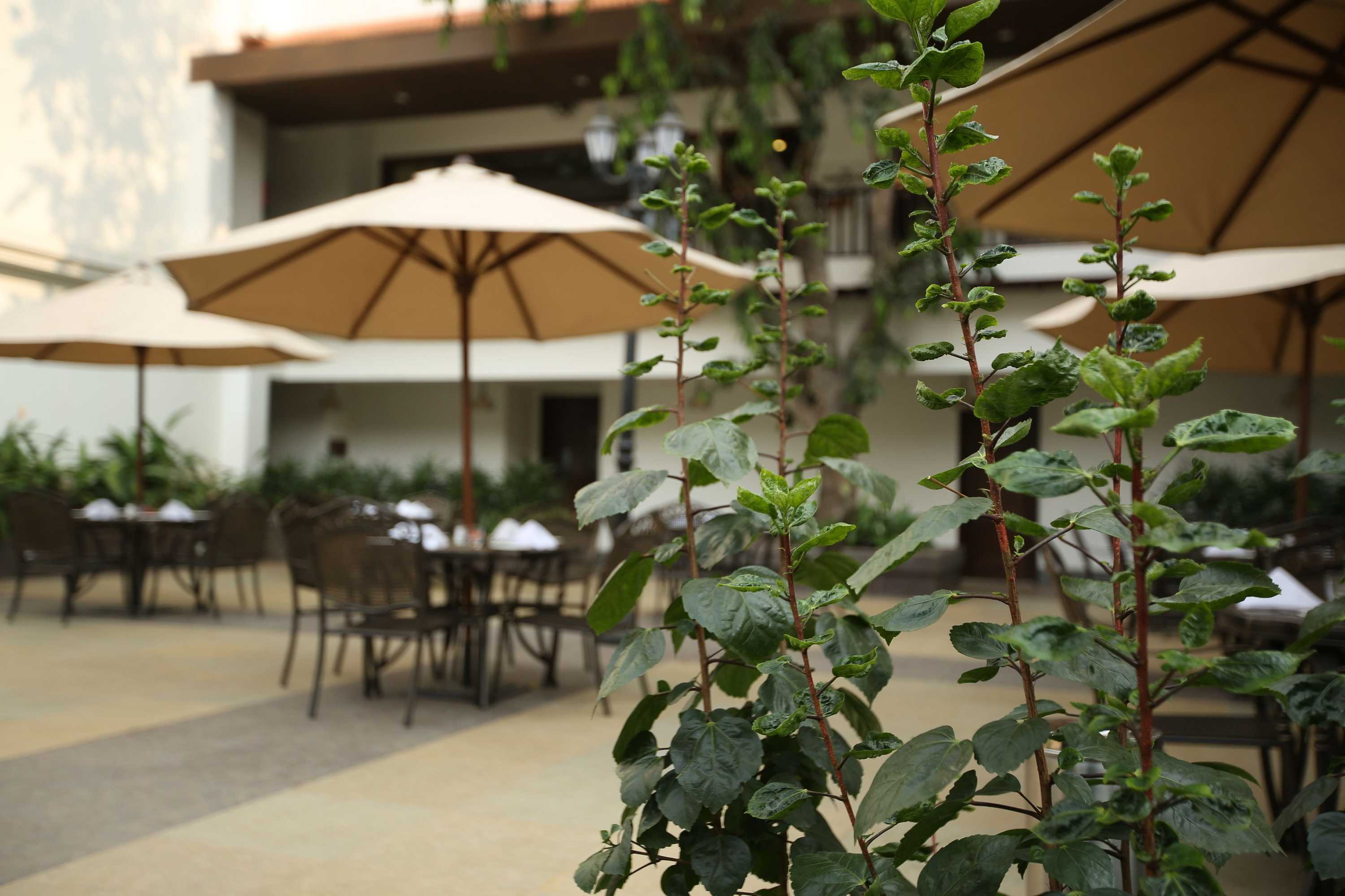 Gift card for Rhythm Lonavala An All-Suite Resort Gift card for Rhythm Lonavala An All-Suite Resort