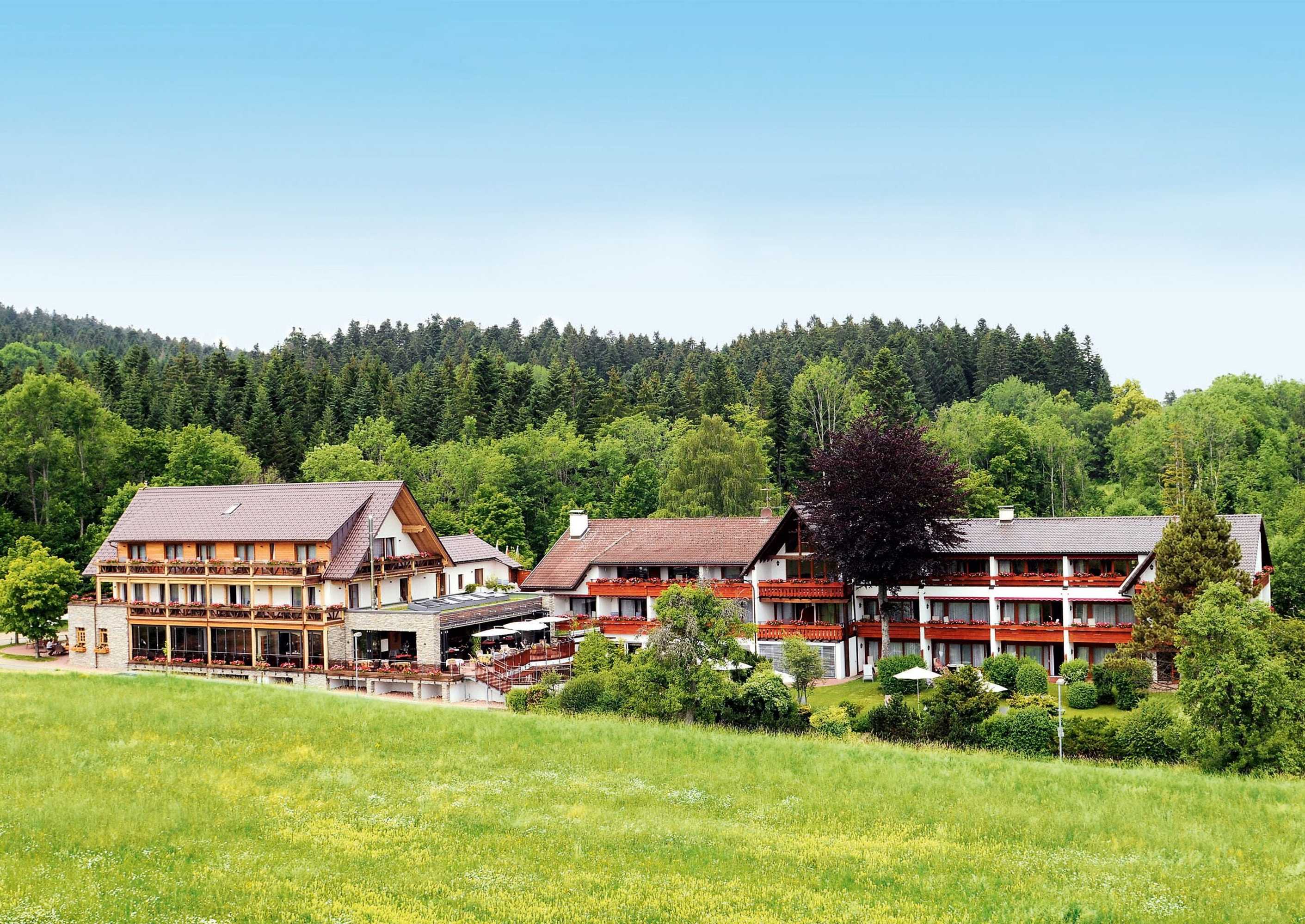 Gift card for Hotel Grüner Wald Gift card for Hotel Grüner Wald