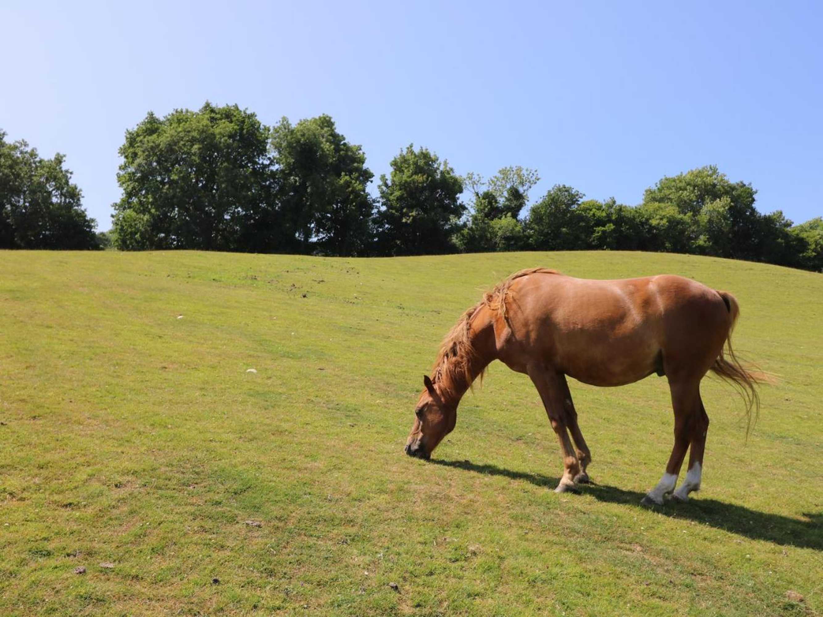 Gift card for Railway Carriage