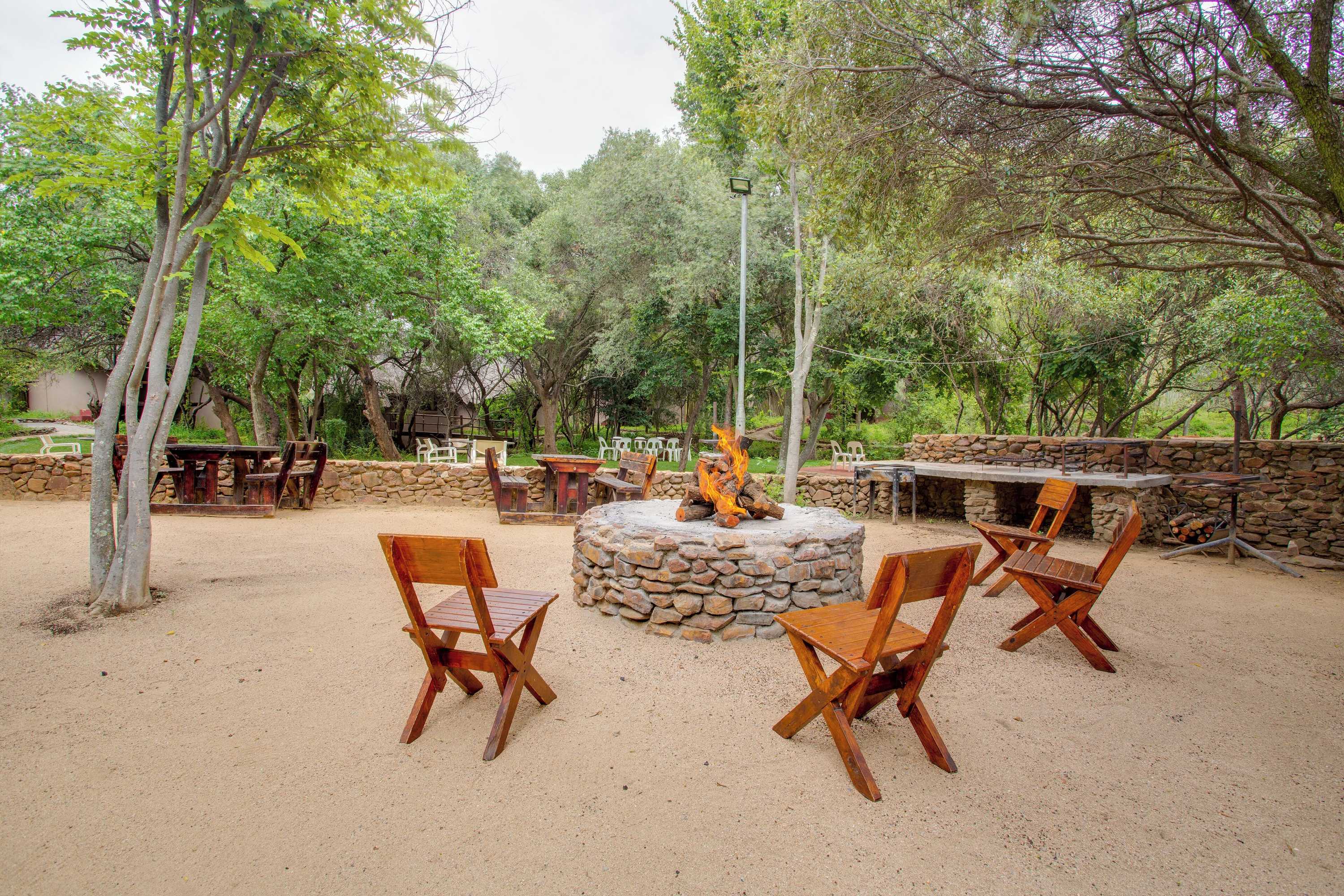 Gift card for Warthogs Bush Lodge Gift card for Warthogs Bush Lodge