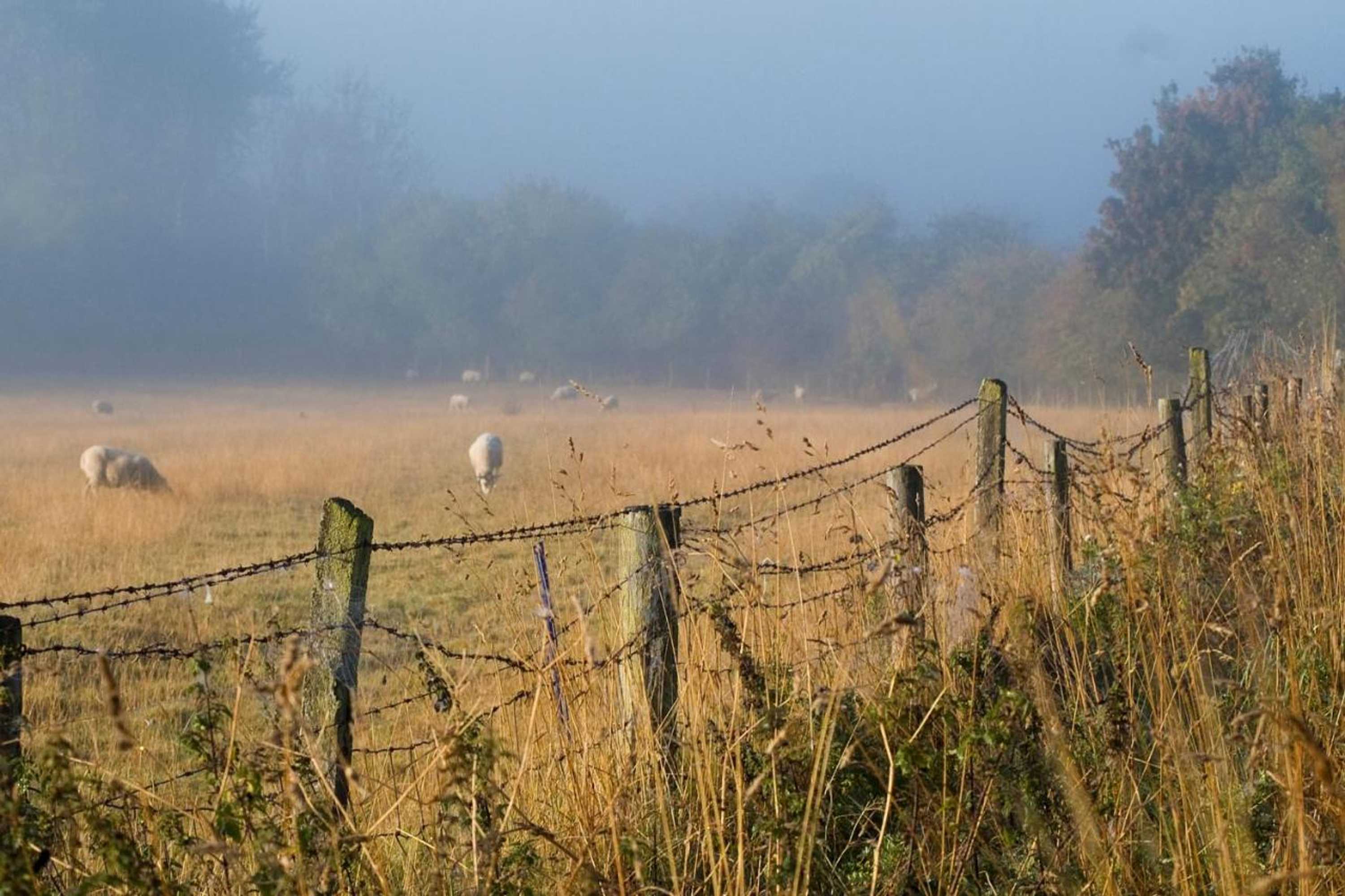 Gift card for The Old Stables