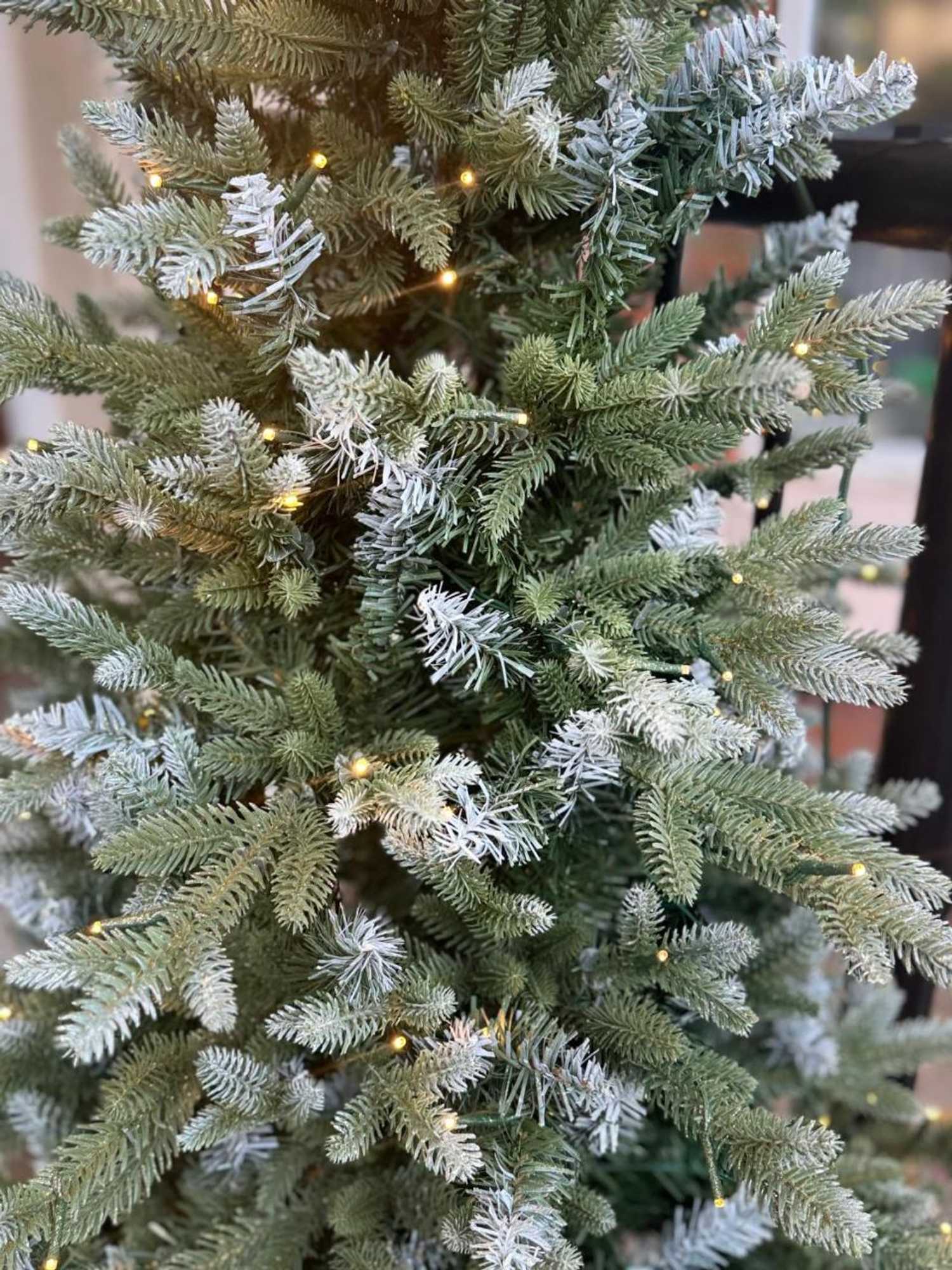 Gift card for The Westlynne Hotel & Apartments