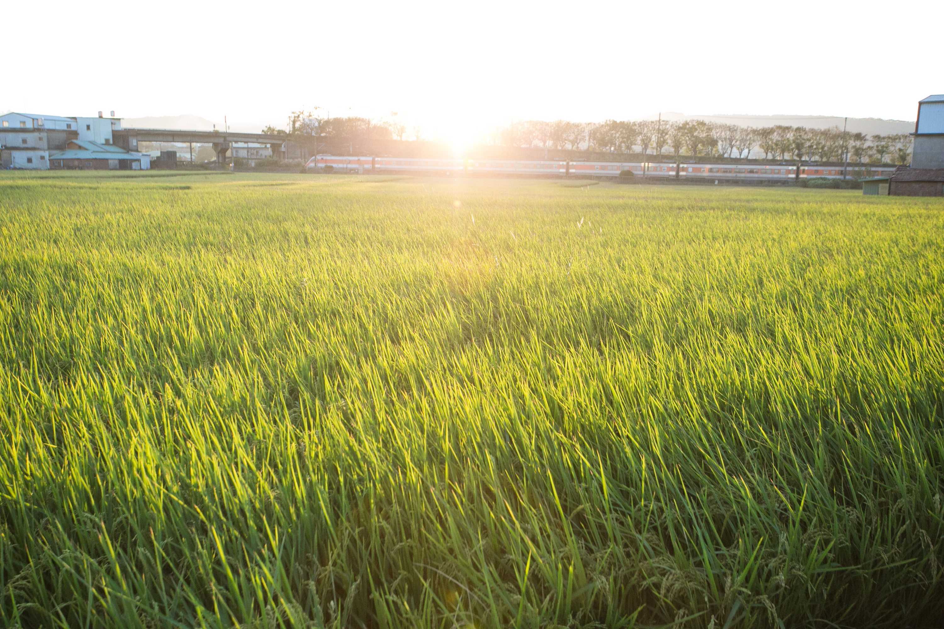 Gift card for Tree House Café & Homestay