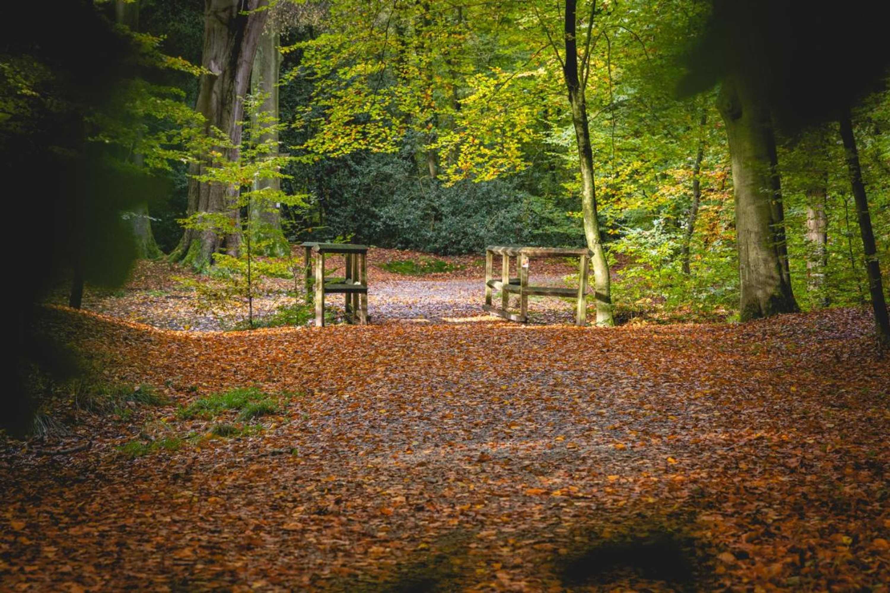 Gift card for Nordenholzer Hofhotel