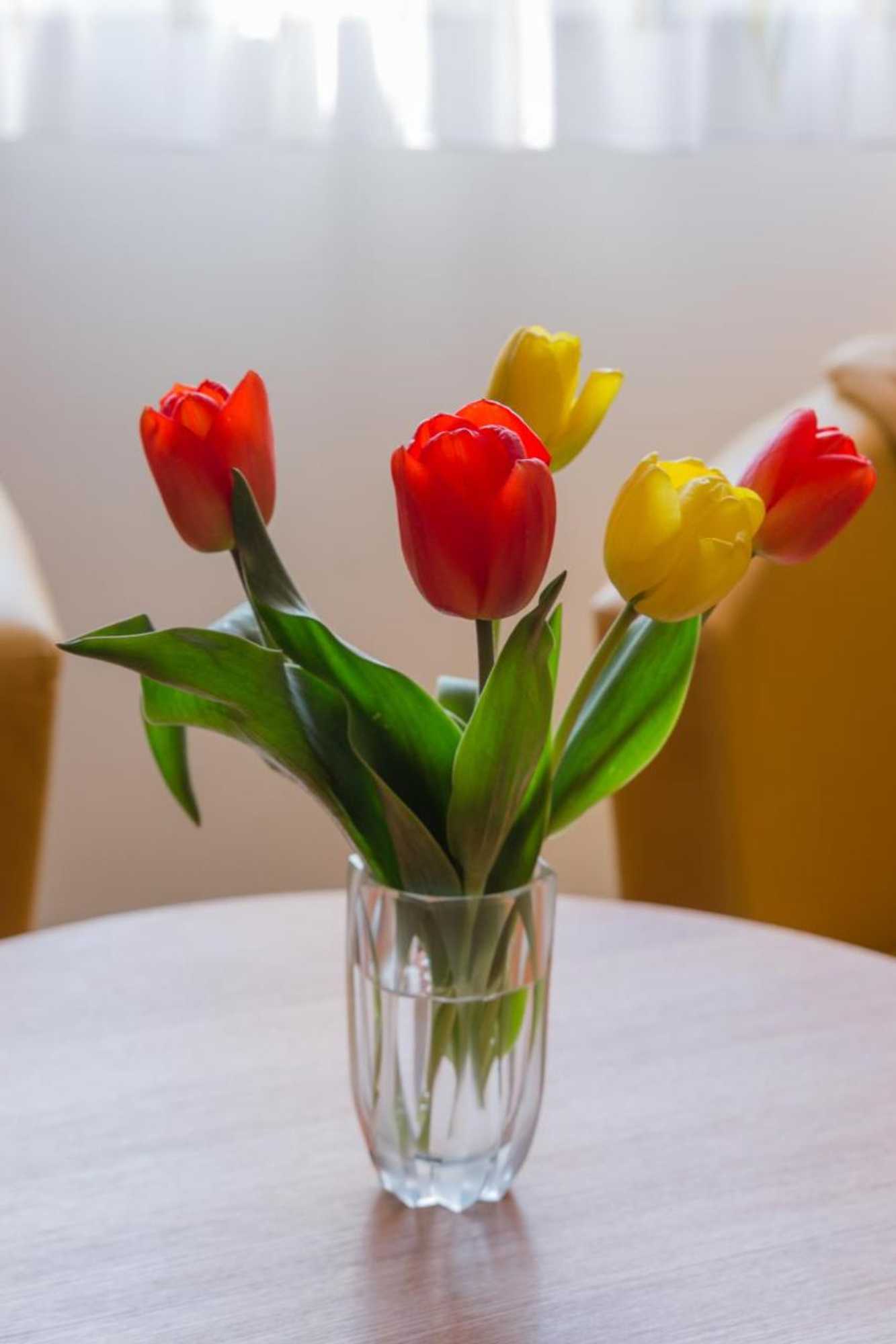 Gift card for Pension Am Finkenberg