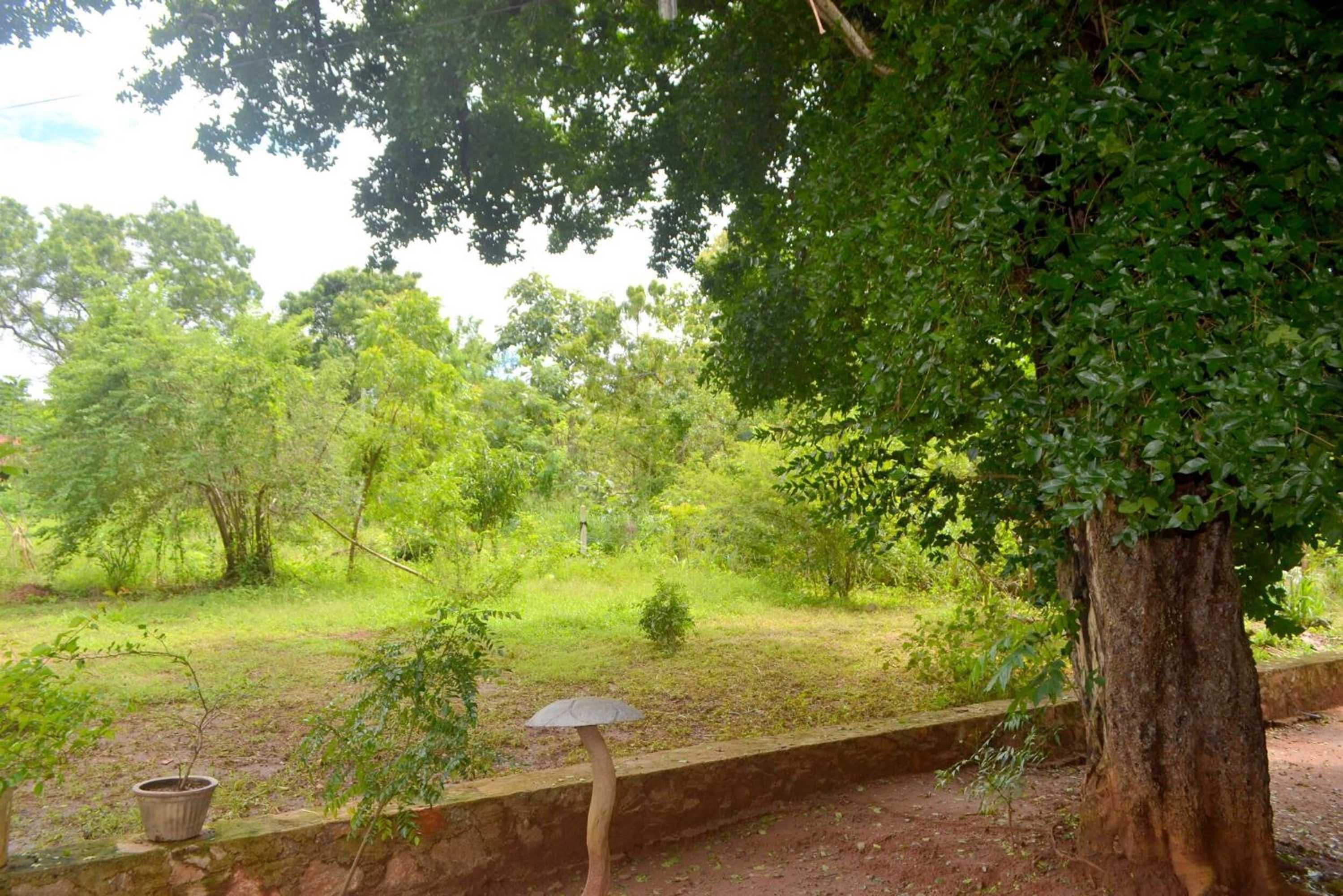 Gift card for Wilpattu Dilsara Holiday Resort Gift card for Wilpattu Dilsara Holiday Resort