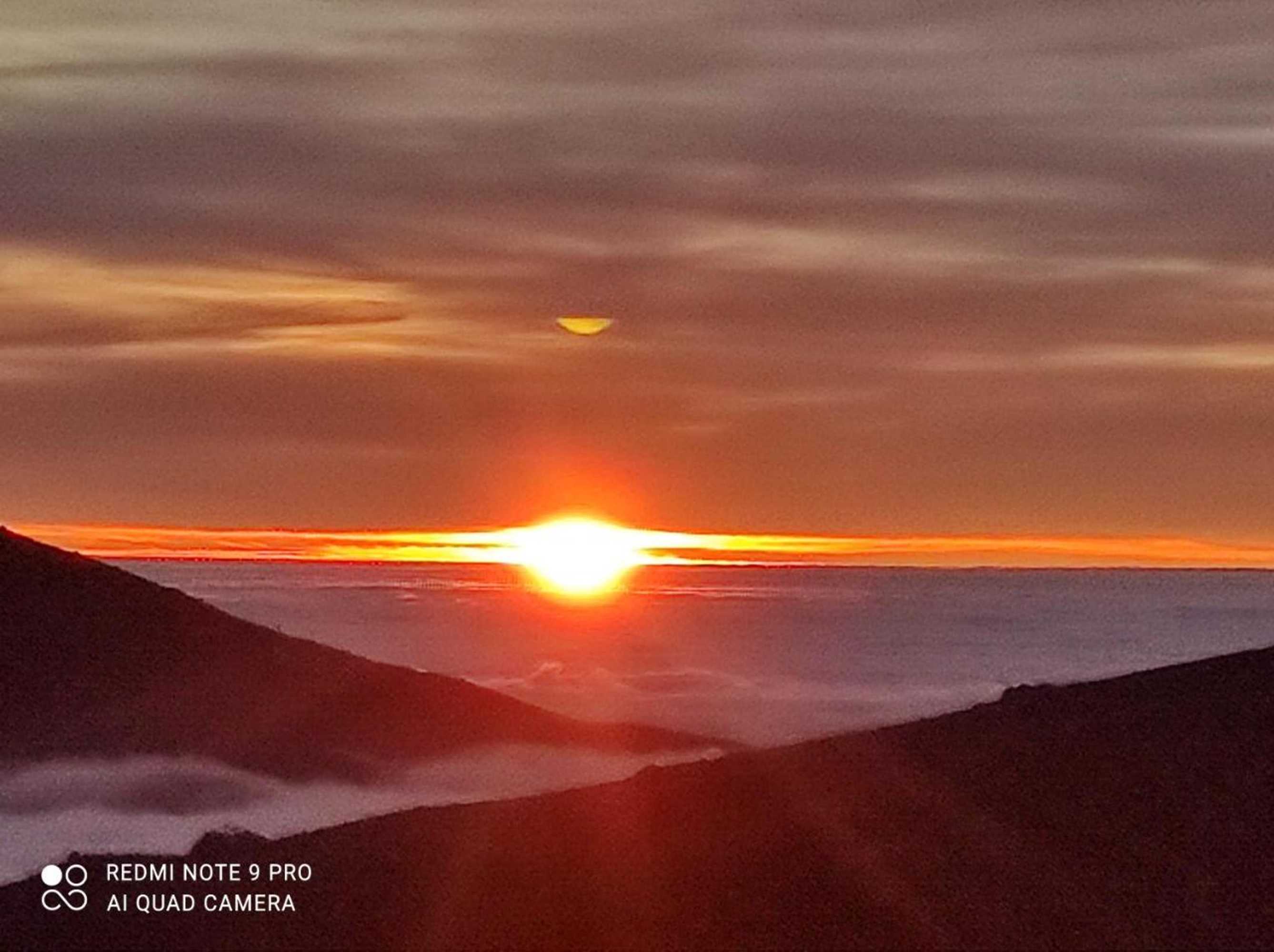 Gift card for Quinta Damigo