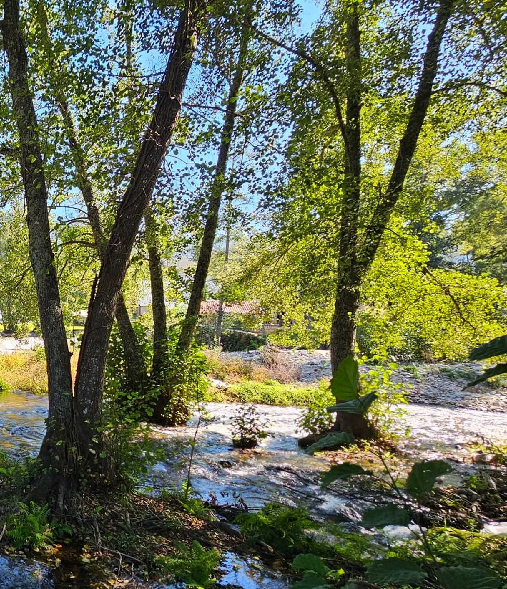 Gift card for Be Alva