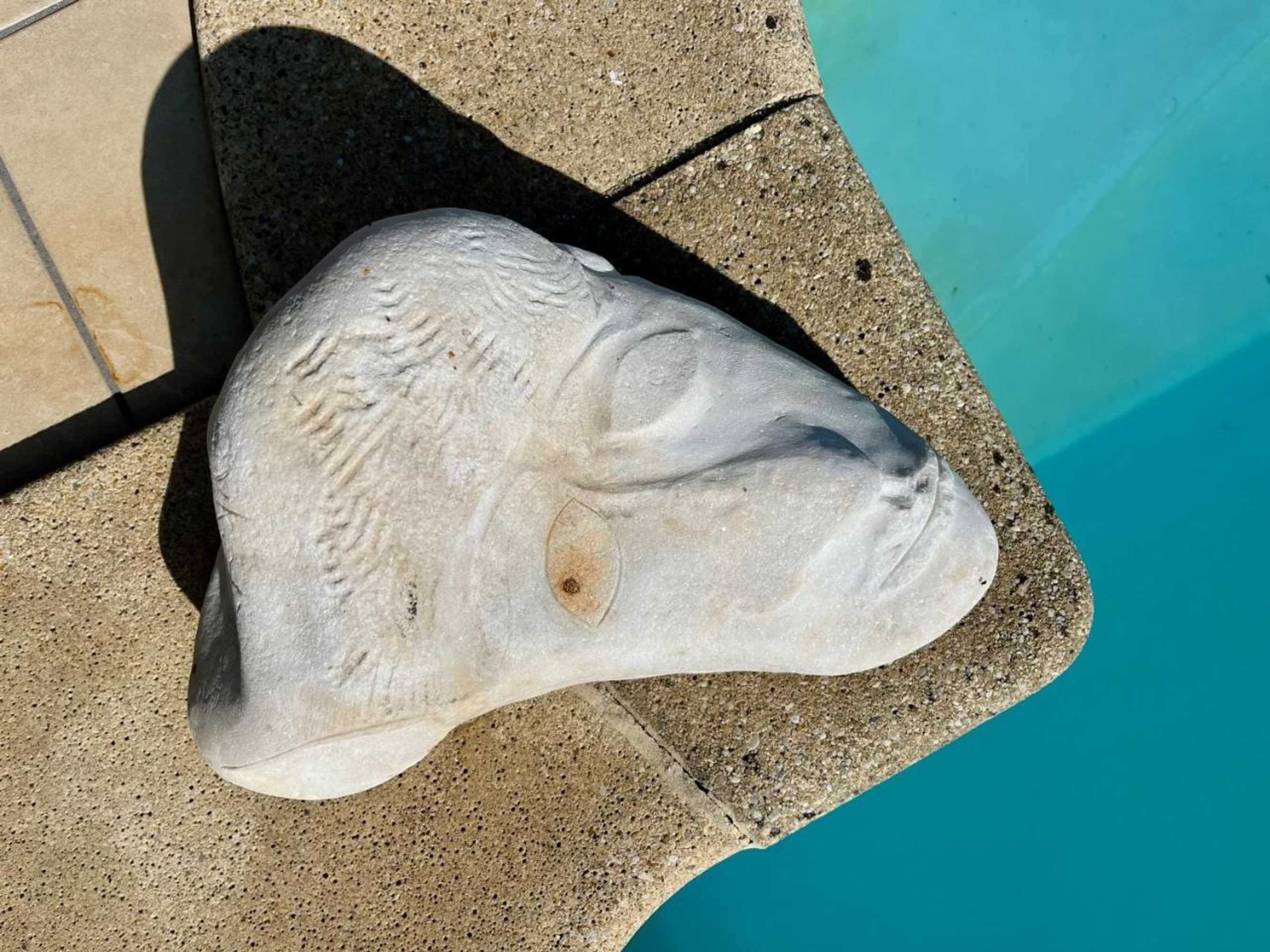 Gift card for The Pool House