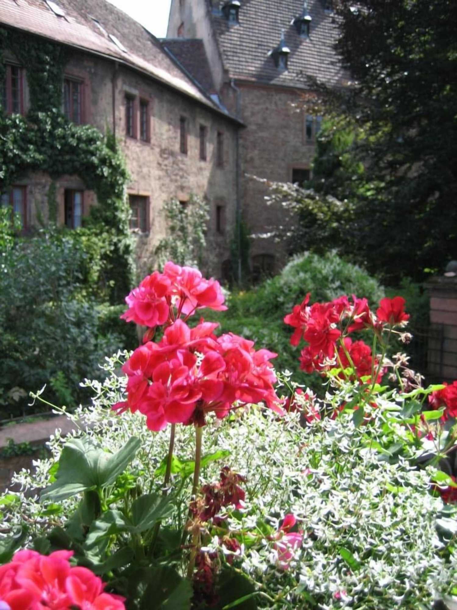 Gift card for Hotel Wappenstube