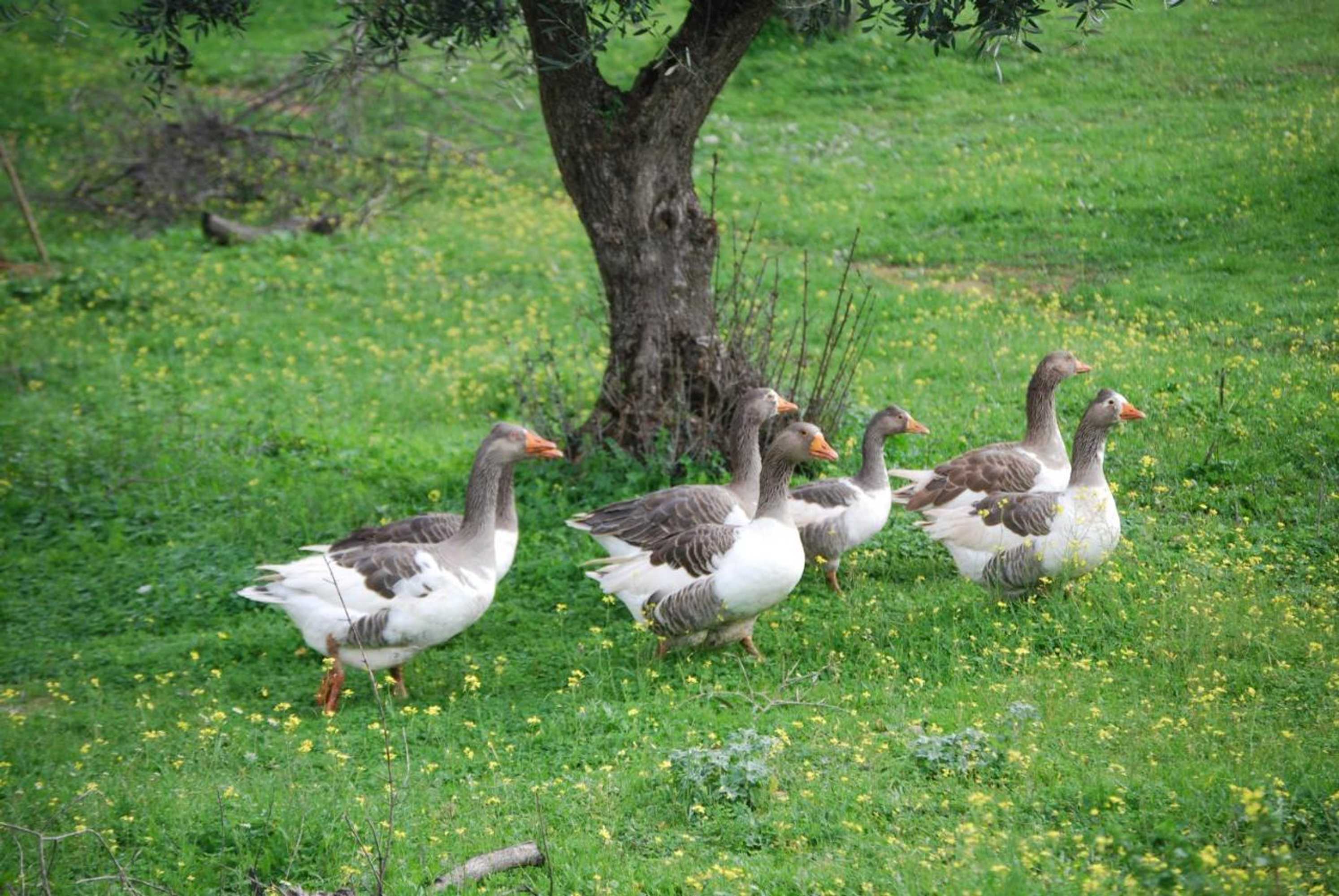 Gift card for Herdade Do Monte Outeiro