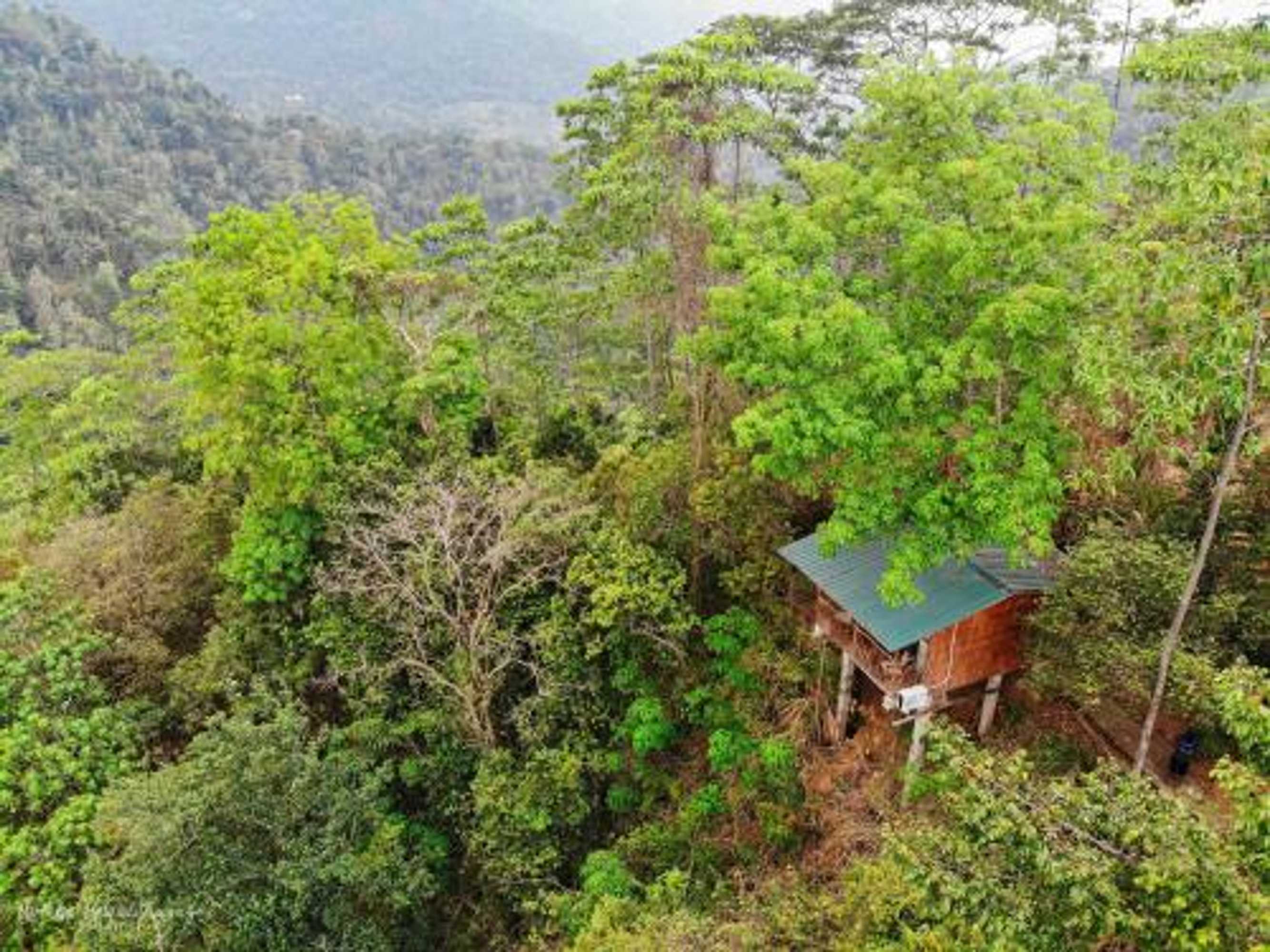 Gift card for Tree Houses by Jungle River Gift card for Tree Houses by Jungle River