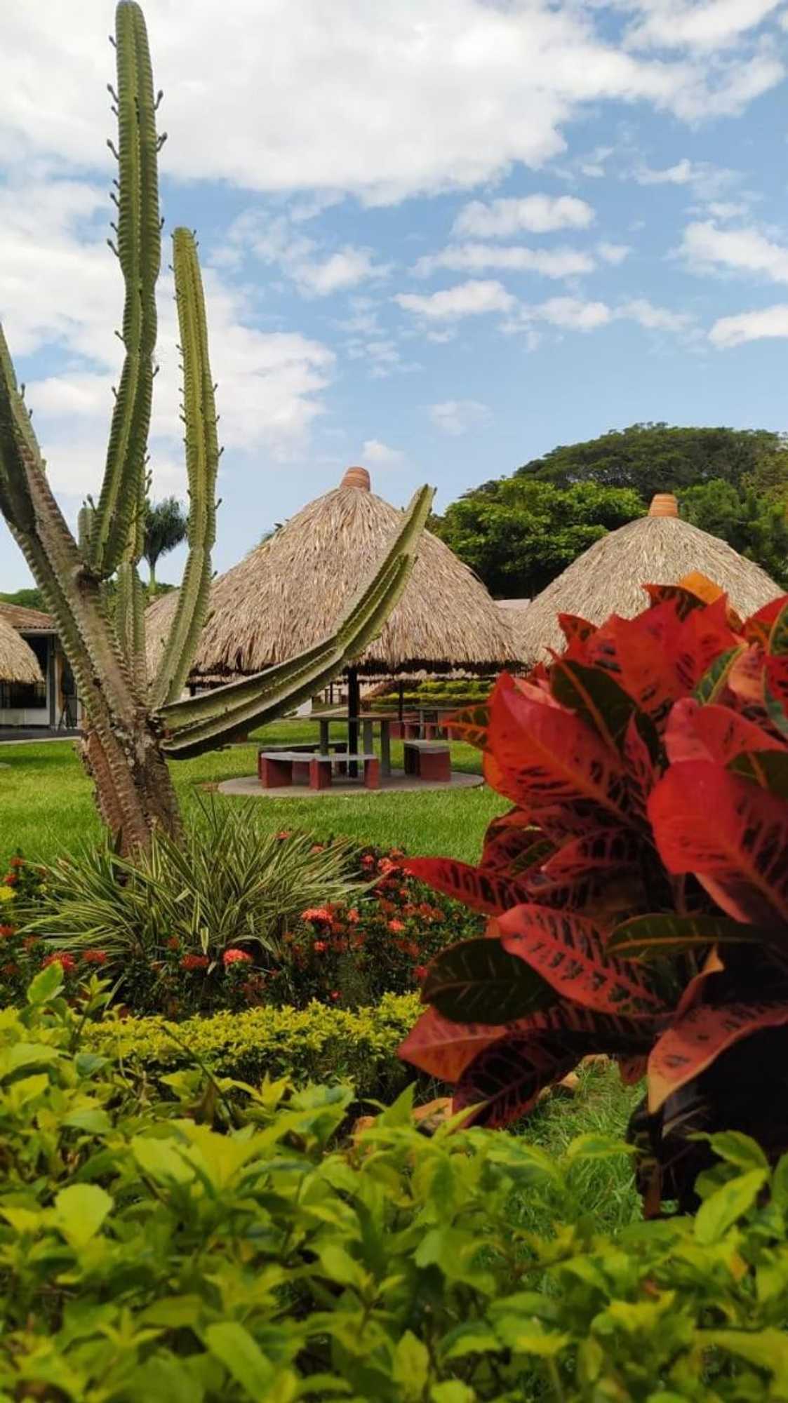 Gift card for Hotel Las Victorias Palmira
