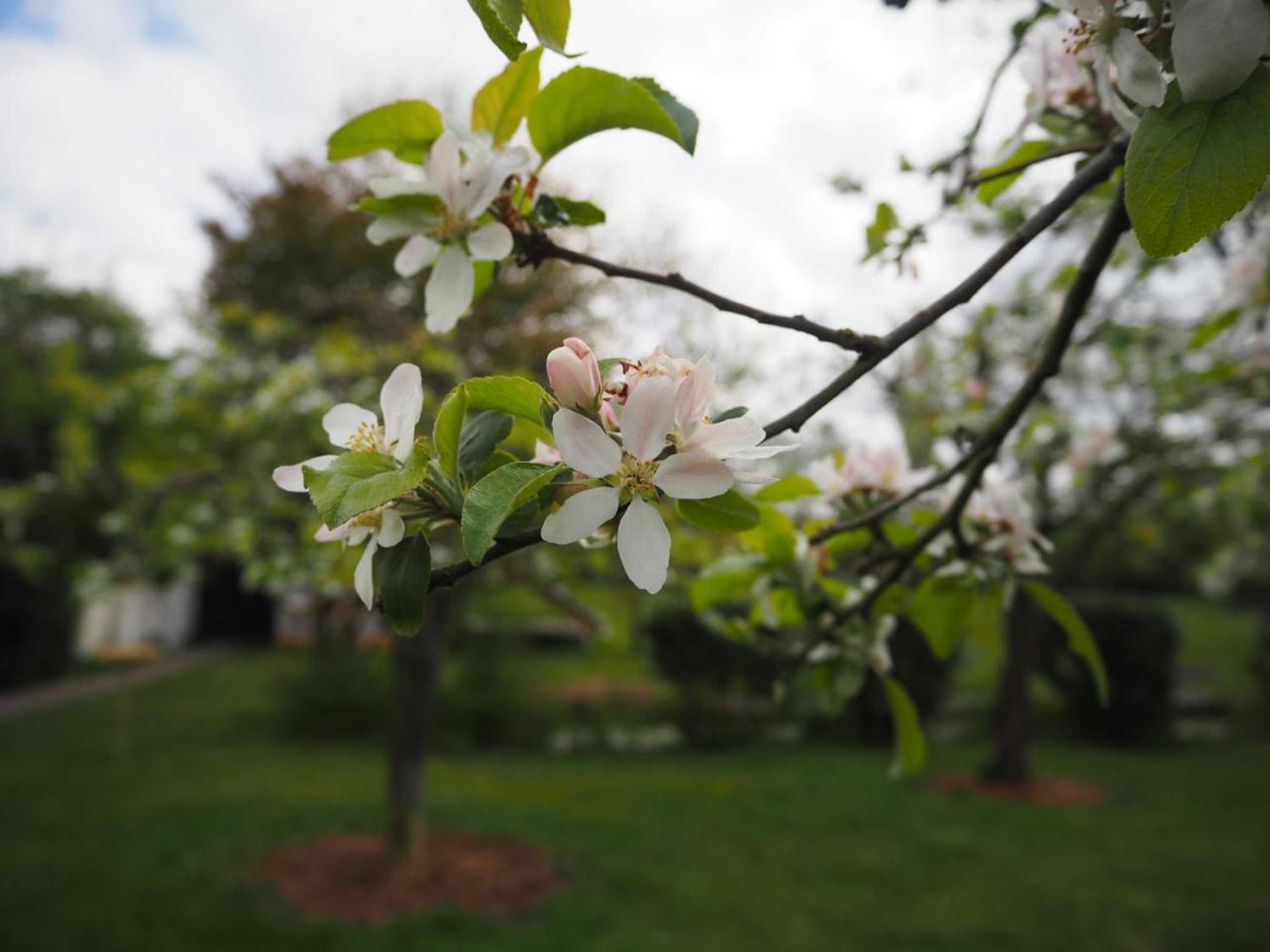 Gift card for Bed & Brochje Burgum