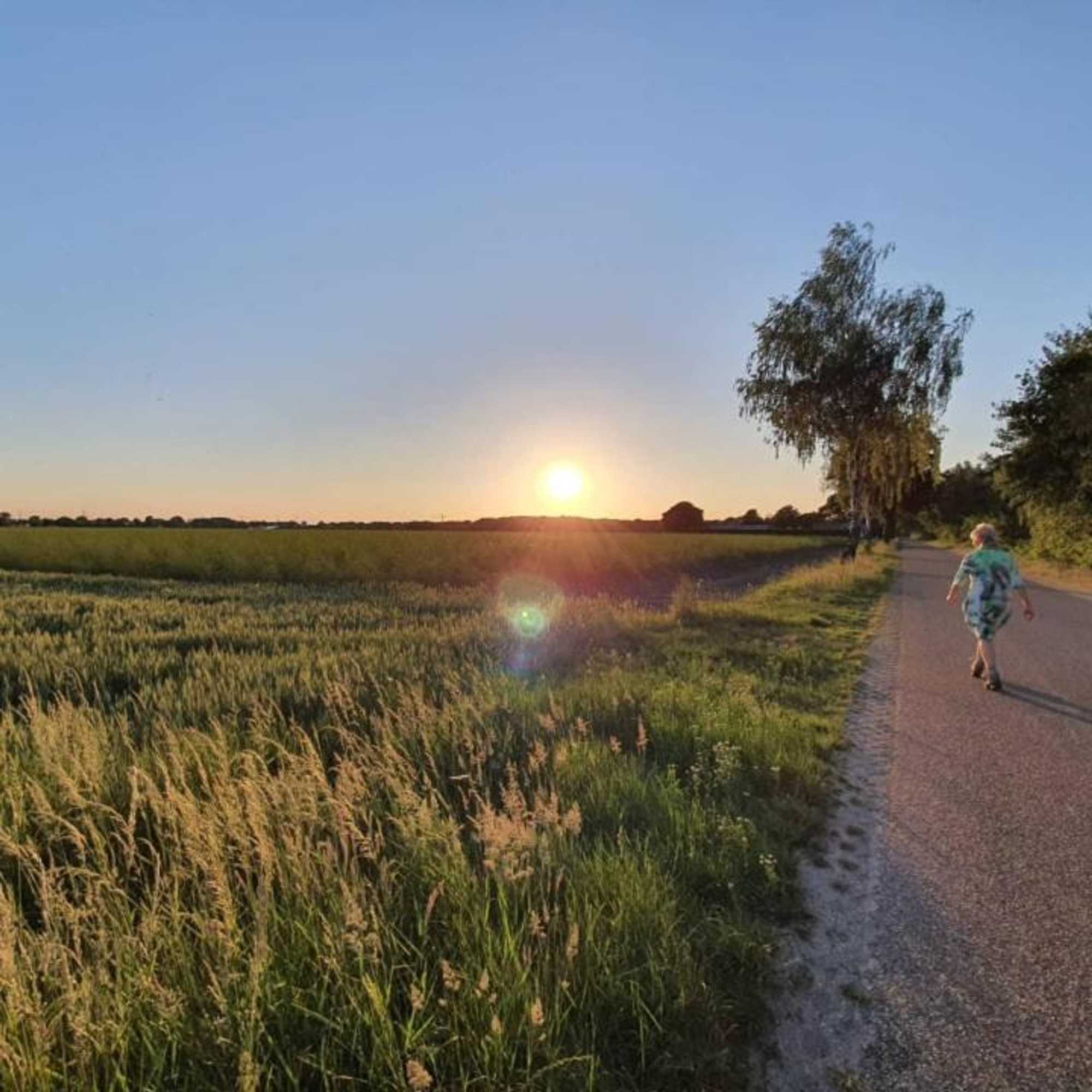 Gift card for De Vliegende Vlinder