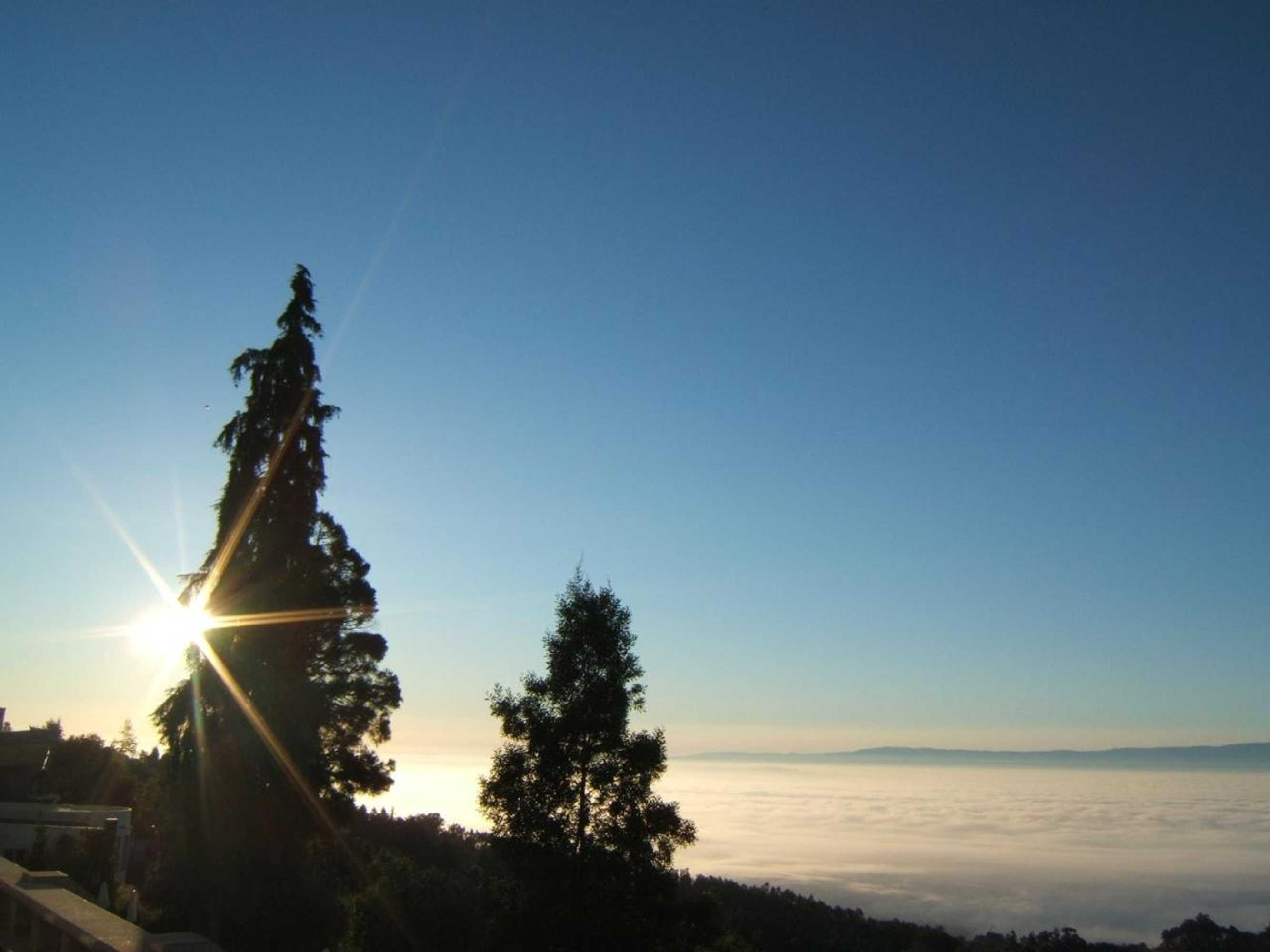 Gift card for Golden Tulip Caramulo