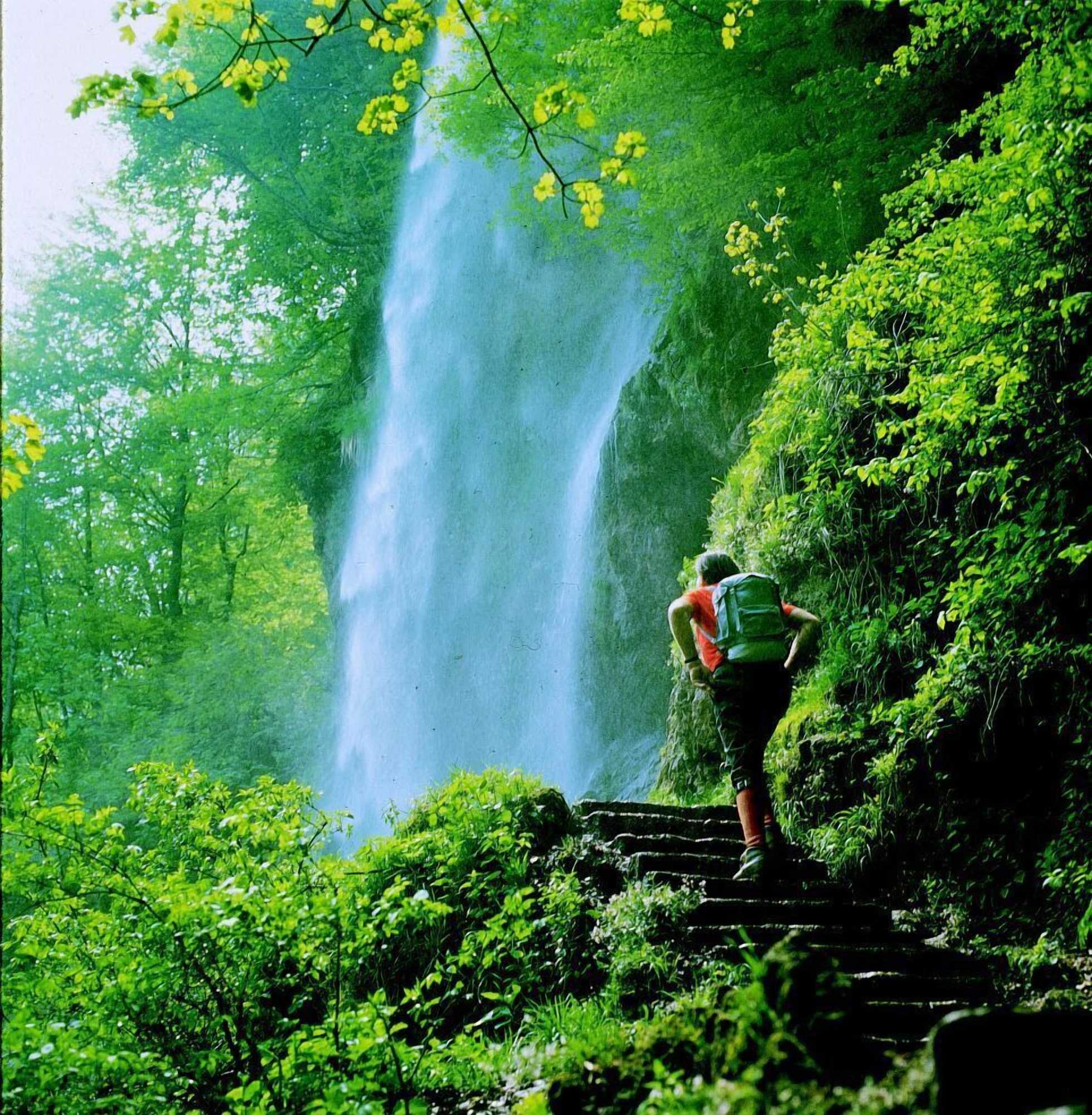 Gift card for Biosphärenhotel Graf Eberhard