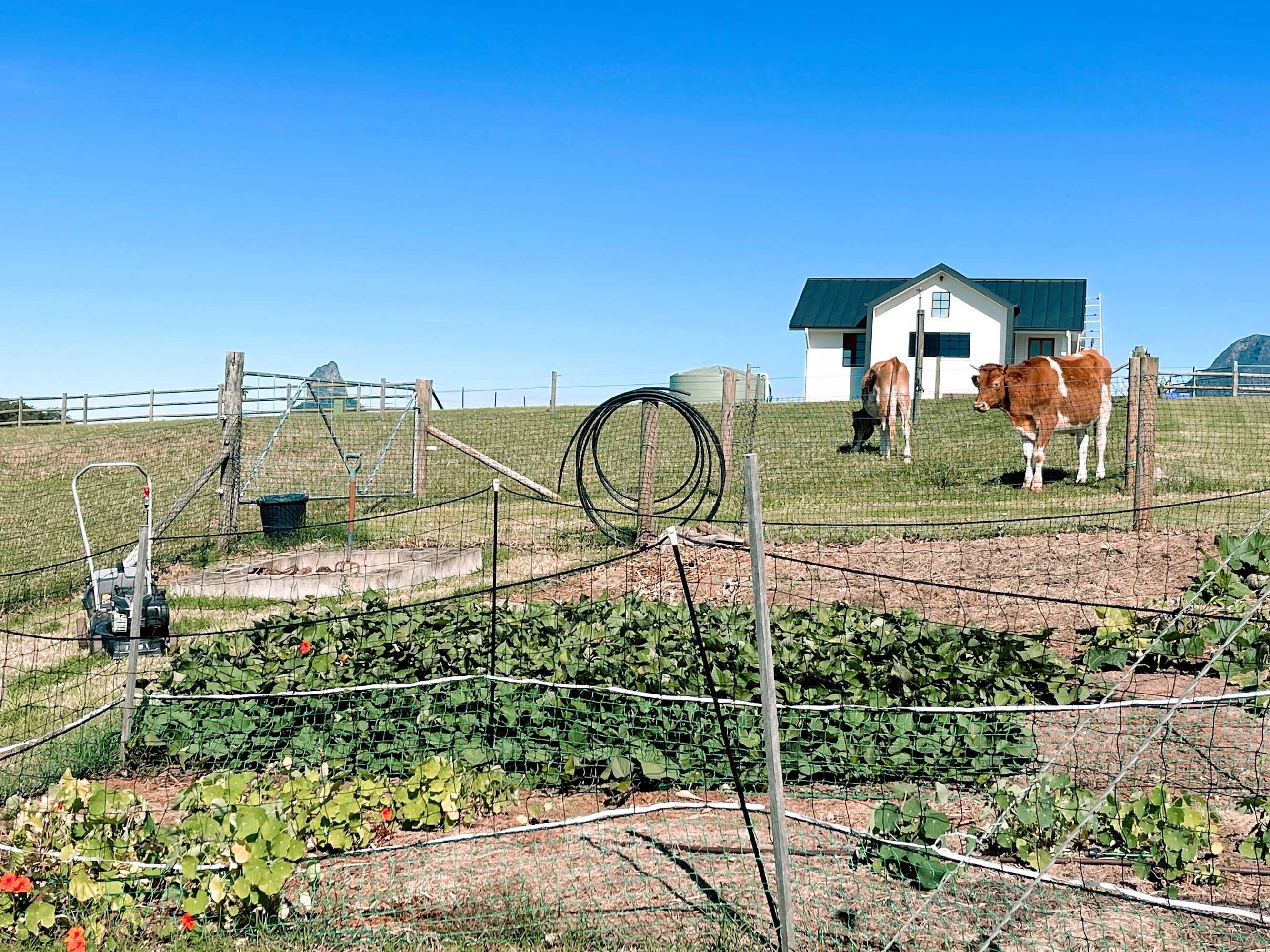 Gift card for Seven Peaks Farm Stay