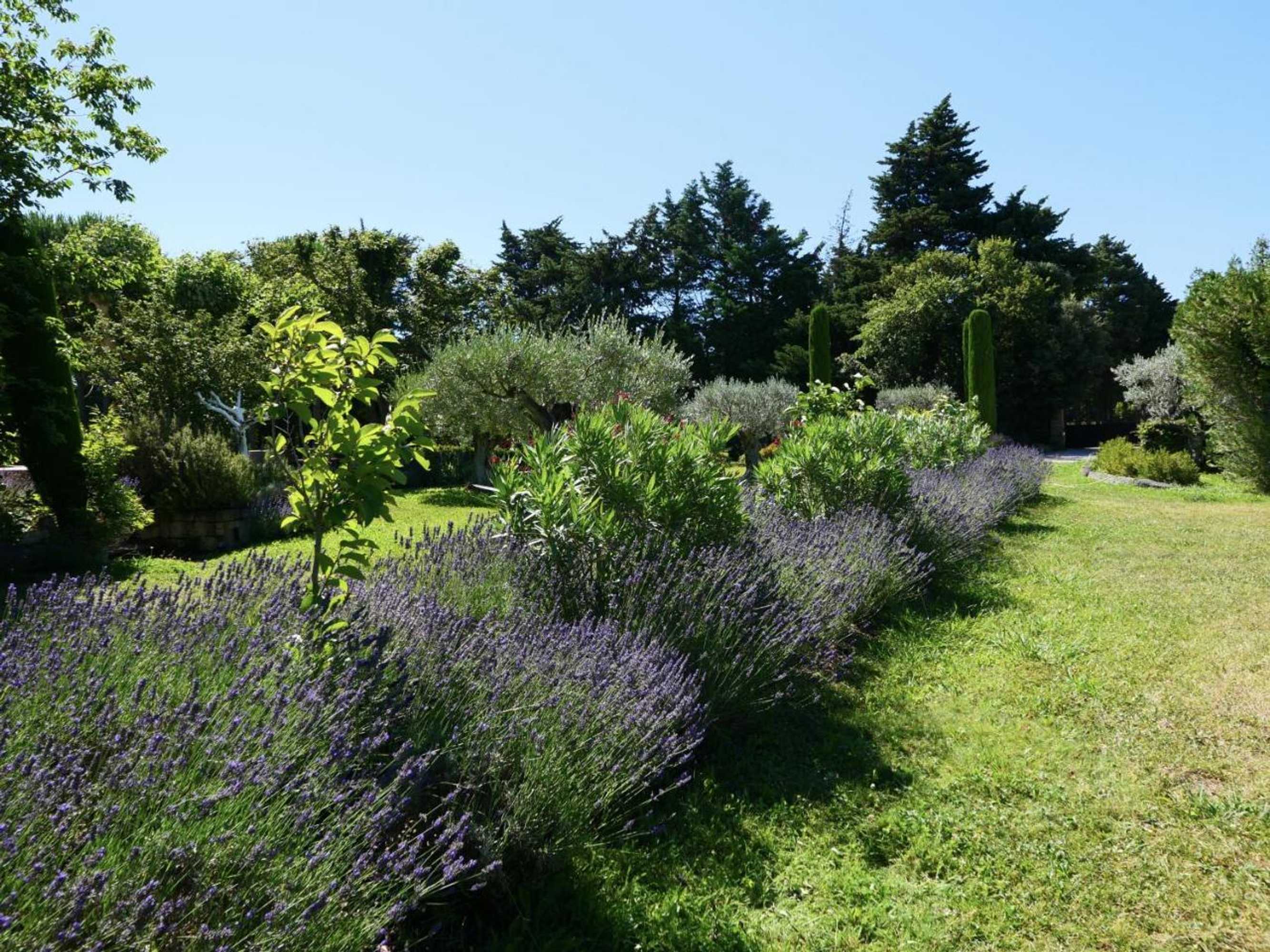 Gift card for Typical Provençal Farm House Close to L'isle Sur la Sorgue - 12 Persons Gift card for Typical Provençal Farm House Close to L'isle Sur la Sorgue - 12 Persons