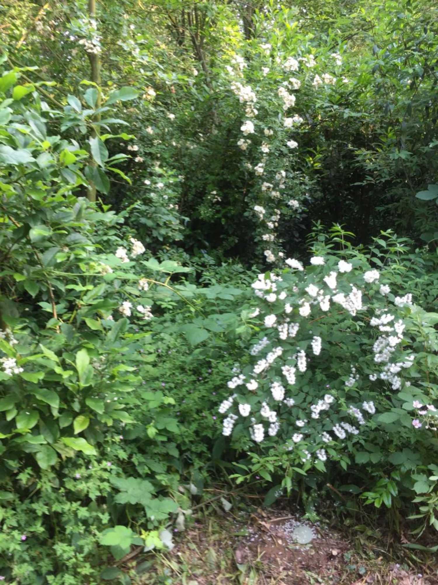 Gift card for De Heijense Molen Retro Camping