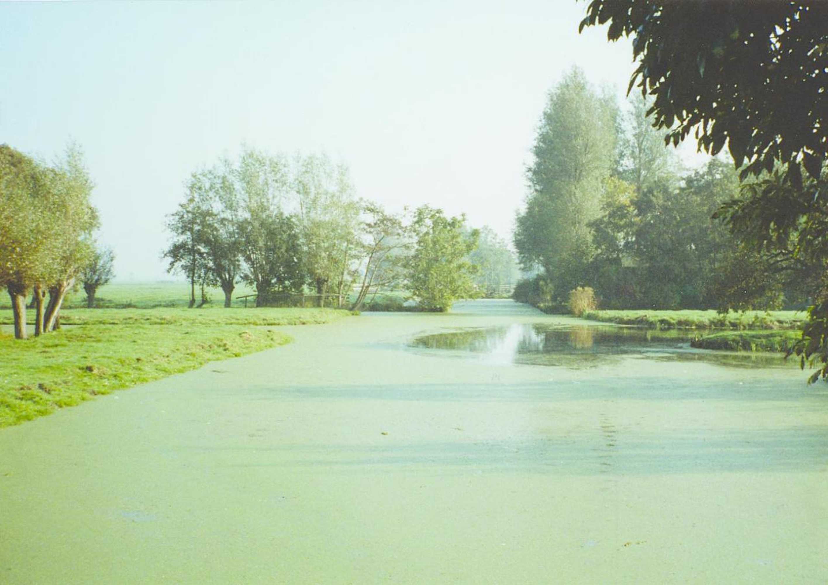 Gift card for De Boomgaard Groene Hart