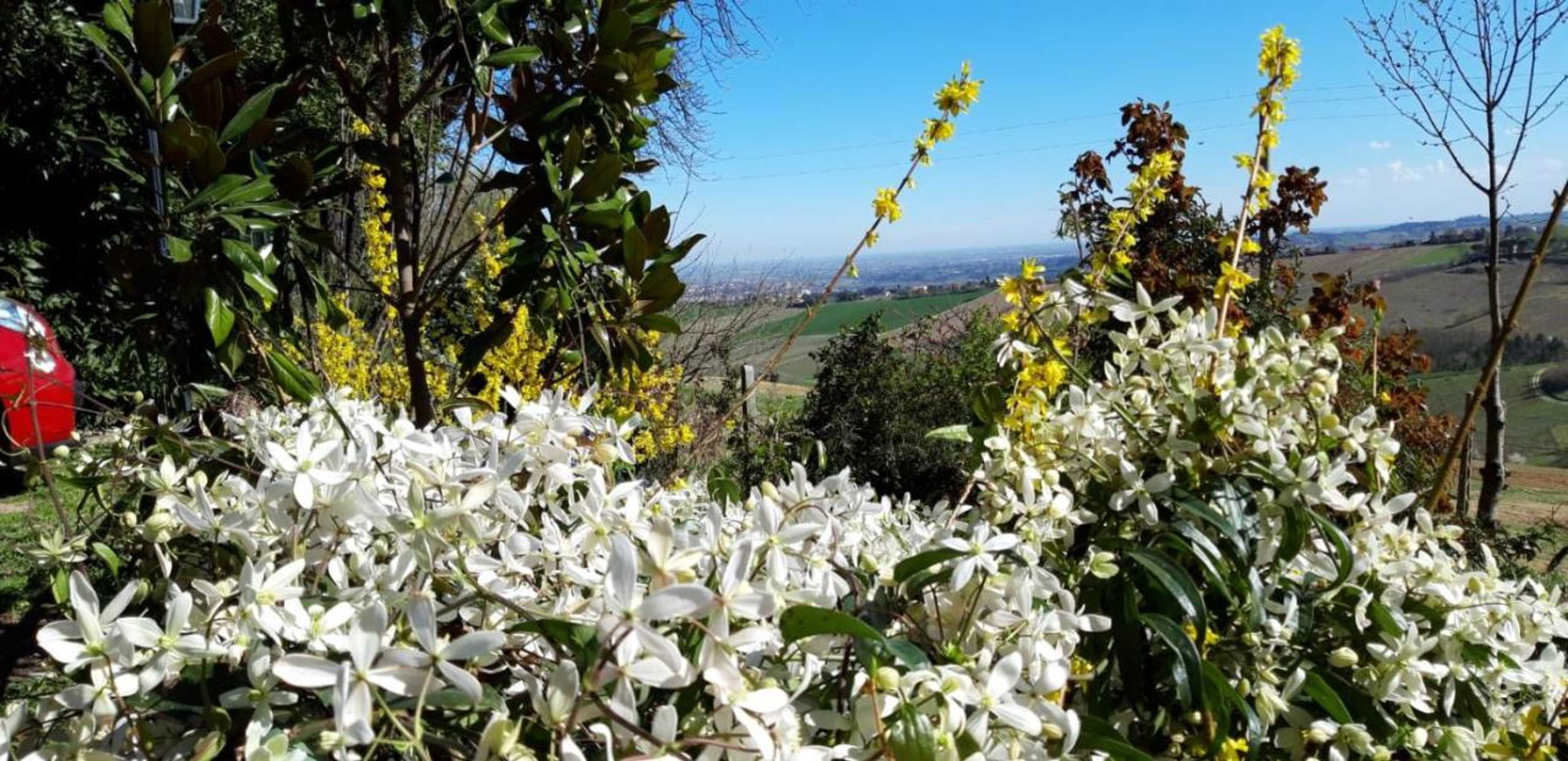 Gift card for Locanda Donna Laura