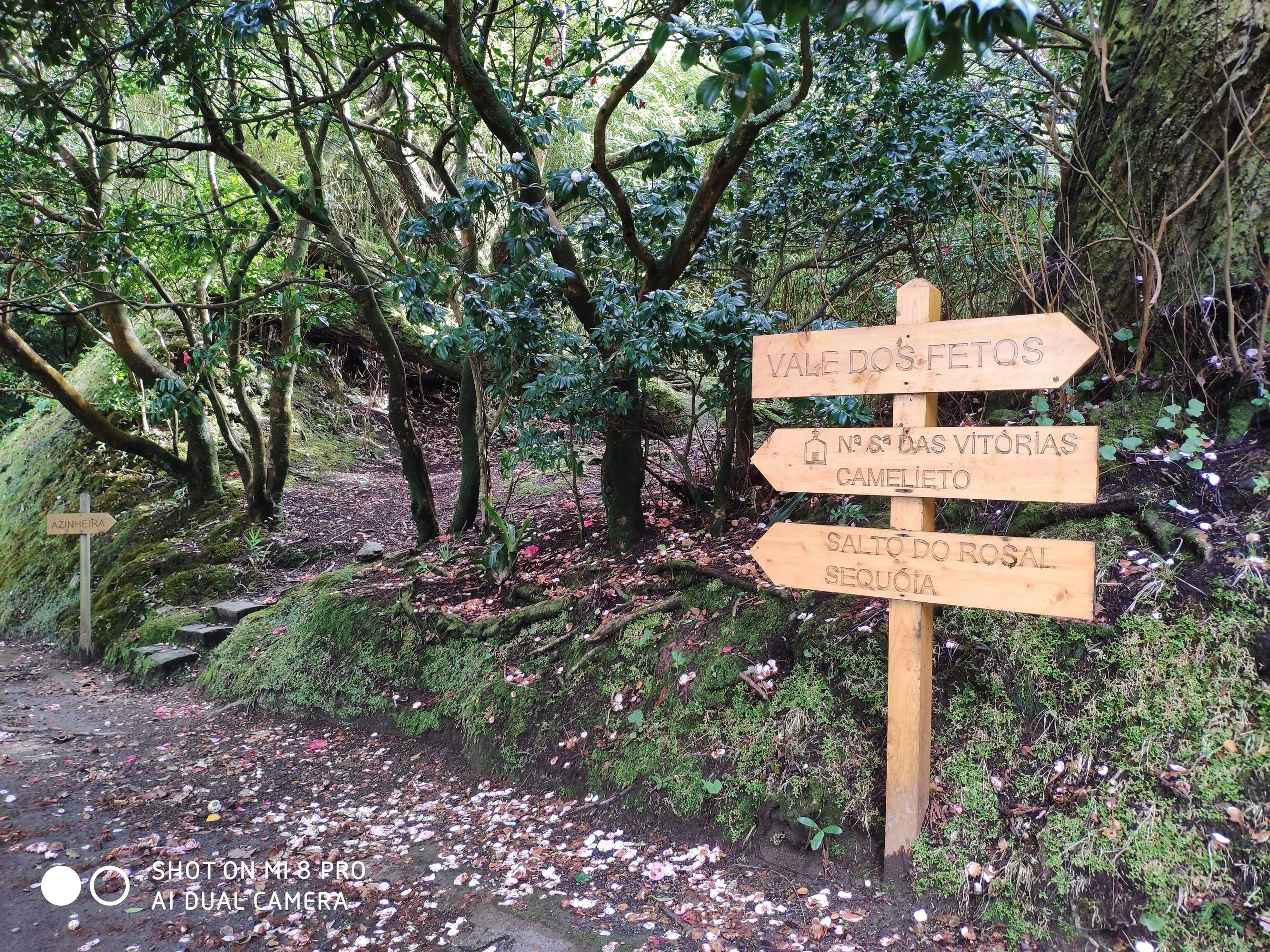 Gift card for Casa Dos Barcos Furnas