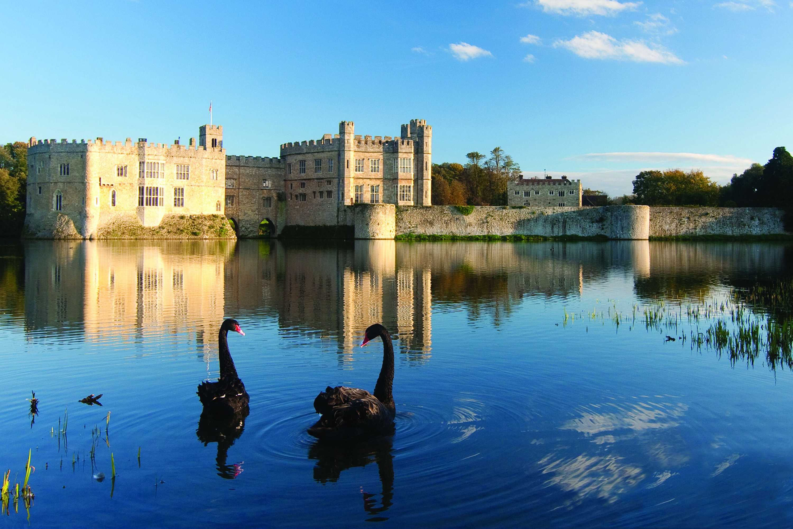 Gift card for The Stable Courtyard Bedrooms at Leeds Castle Gift card for The Stable Courtyard Bedrooms at Leeds Castle