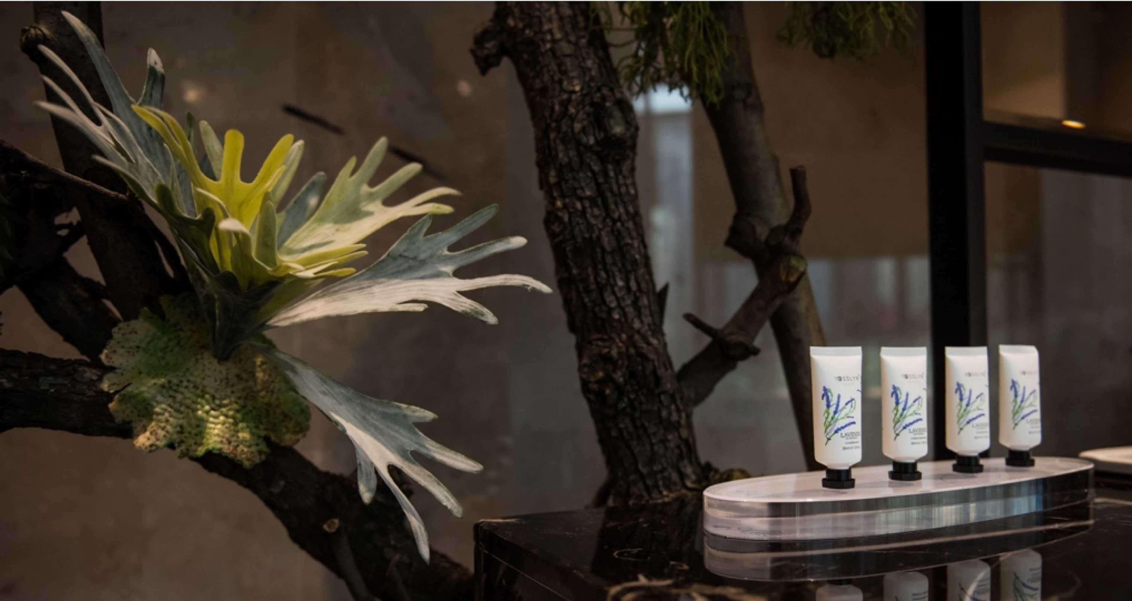 Gift card for Green Palm Gift card for Green Palm