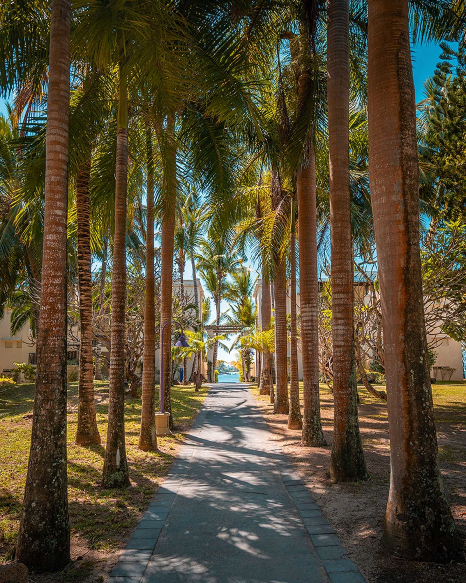 Gift card for Shandrani Beachcomber Resort & Spa Gift card for Shandrani Beachcomber Resort & Spa