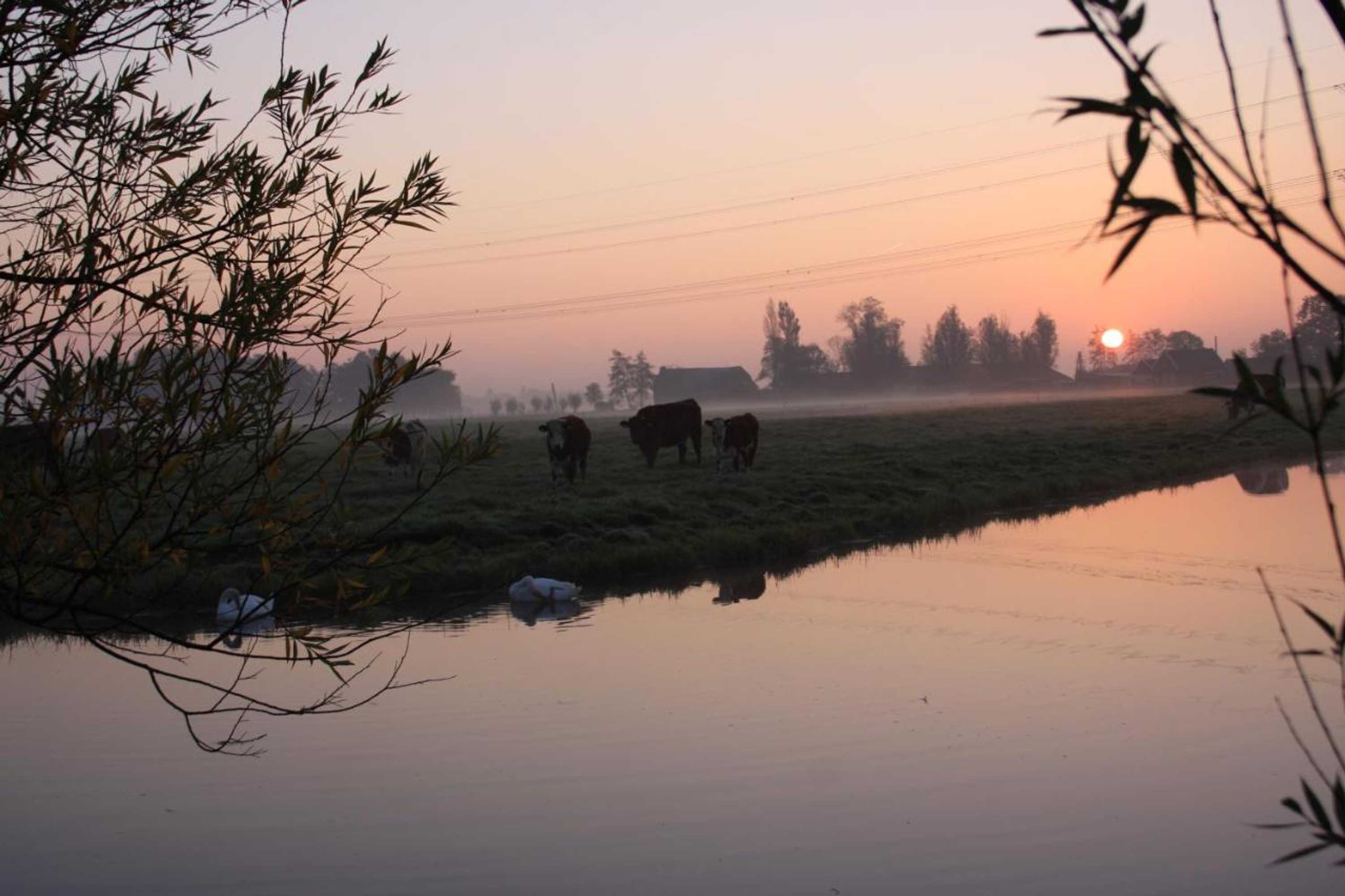 Gift card for Atelier La Luna