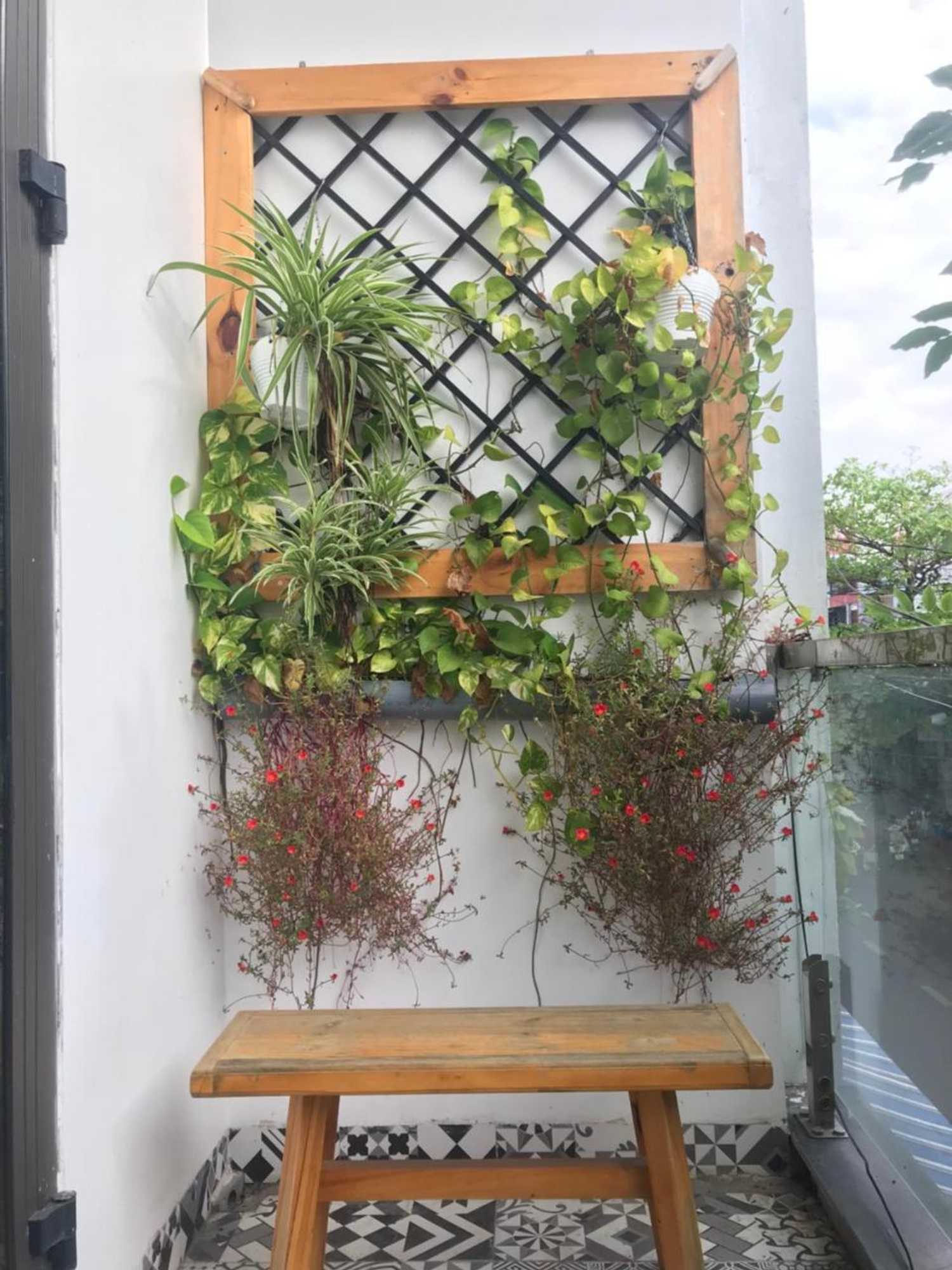 Gift card for Xam House Hostel