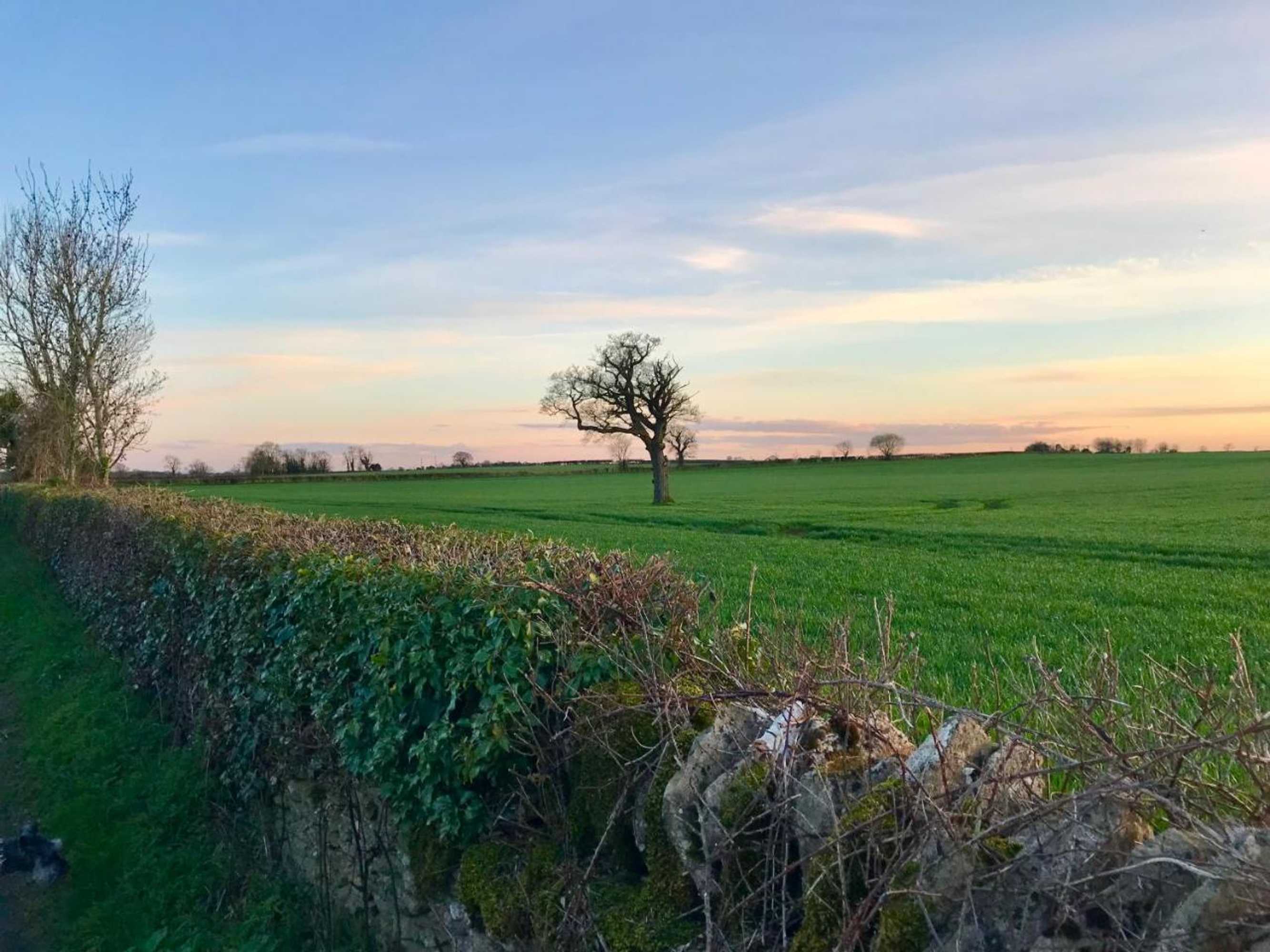 Gift card for The Queen Matilda Country Rooms