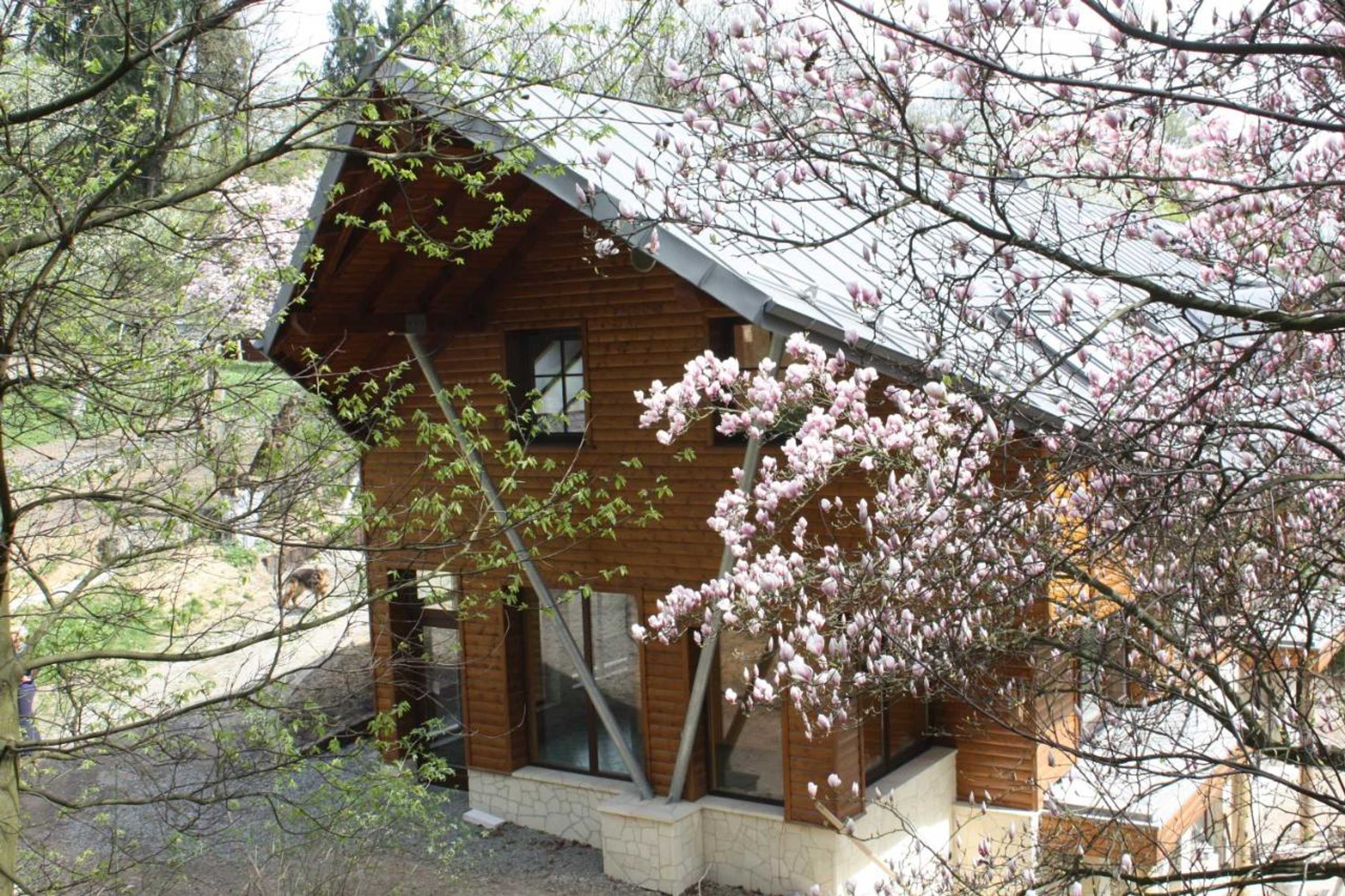 Gift card for Ekosamotnia Eco Dream Pension