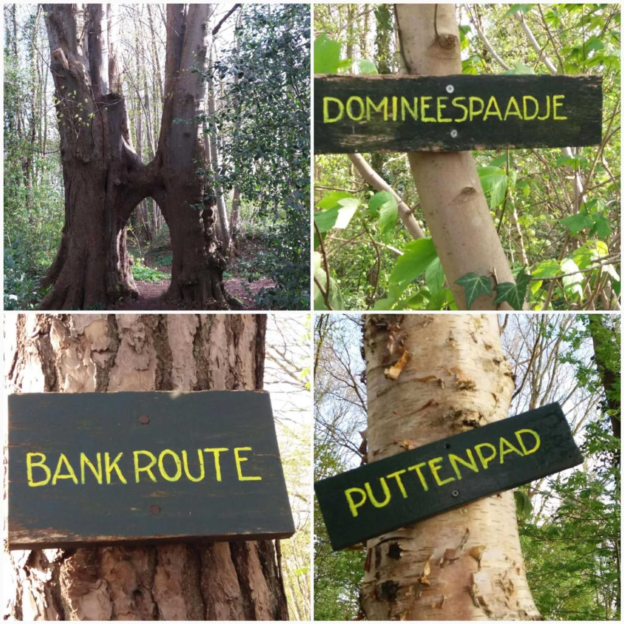 Gift card for Jelly's Hoeve (adults Only)