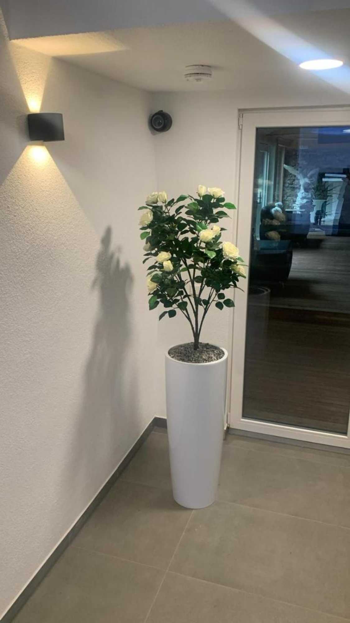 Gift card for Hotel am Schlossplatz