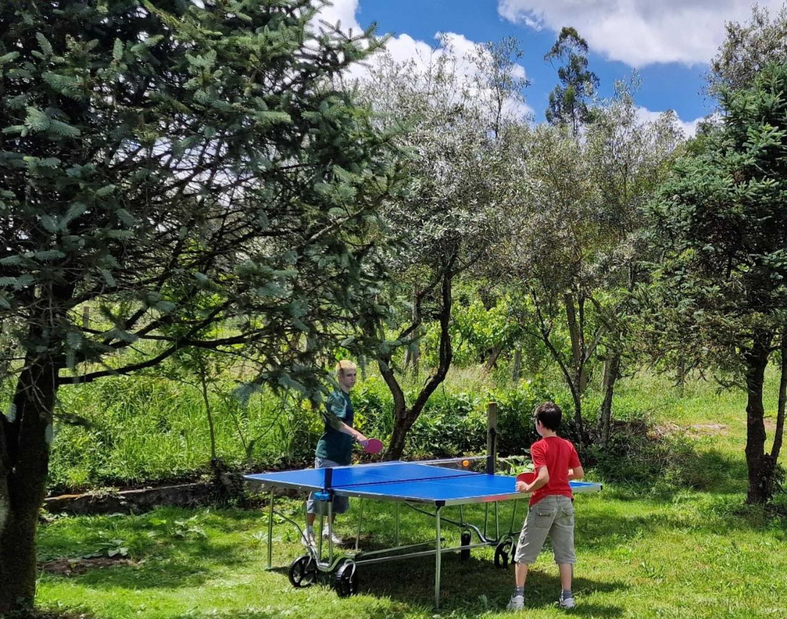 Gift card for Quinta do Rio Sousa