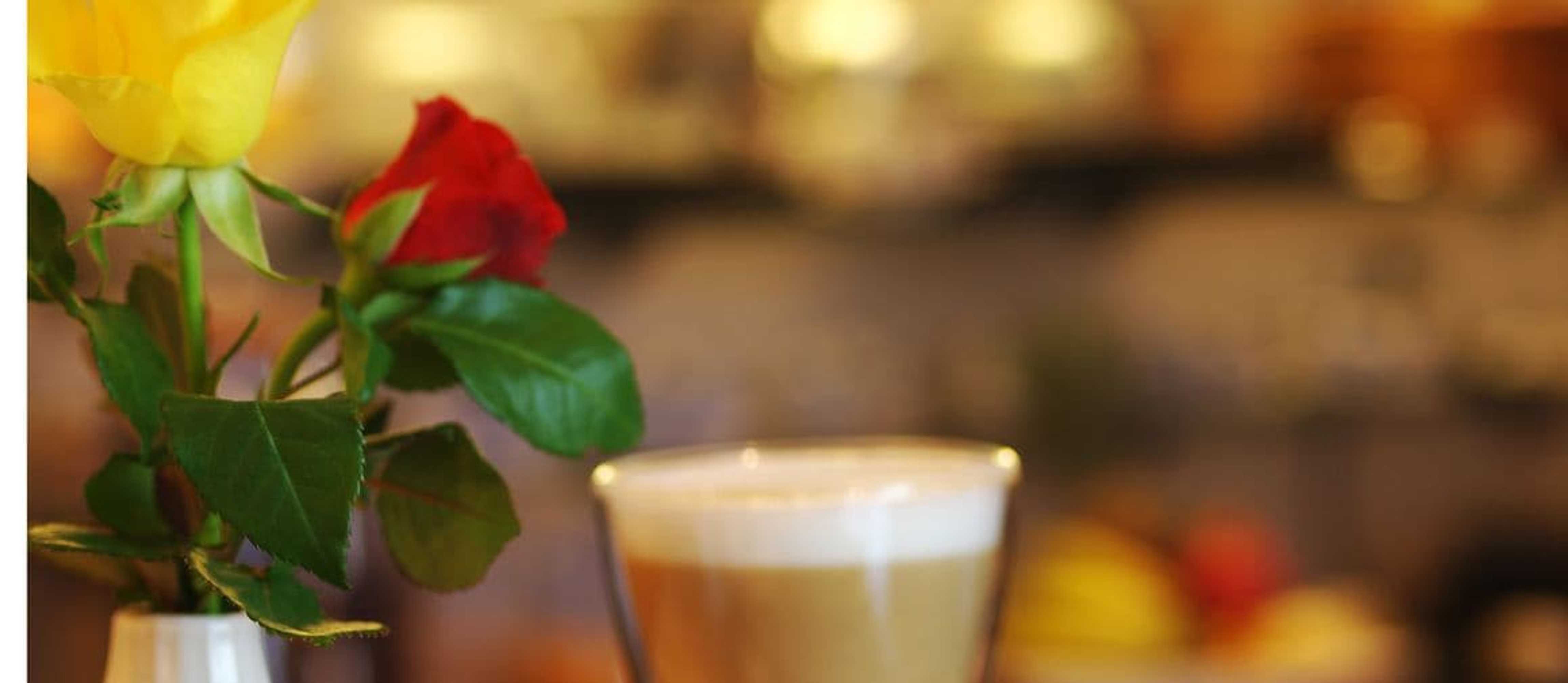 Gift card for Baums Rheinhotel