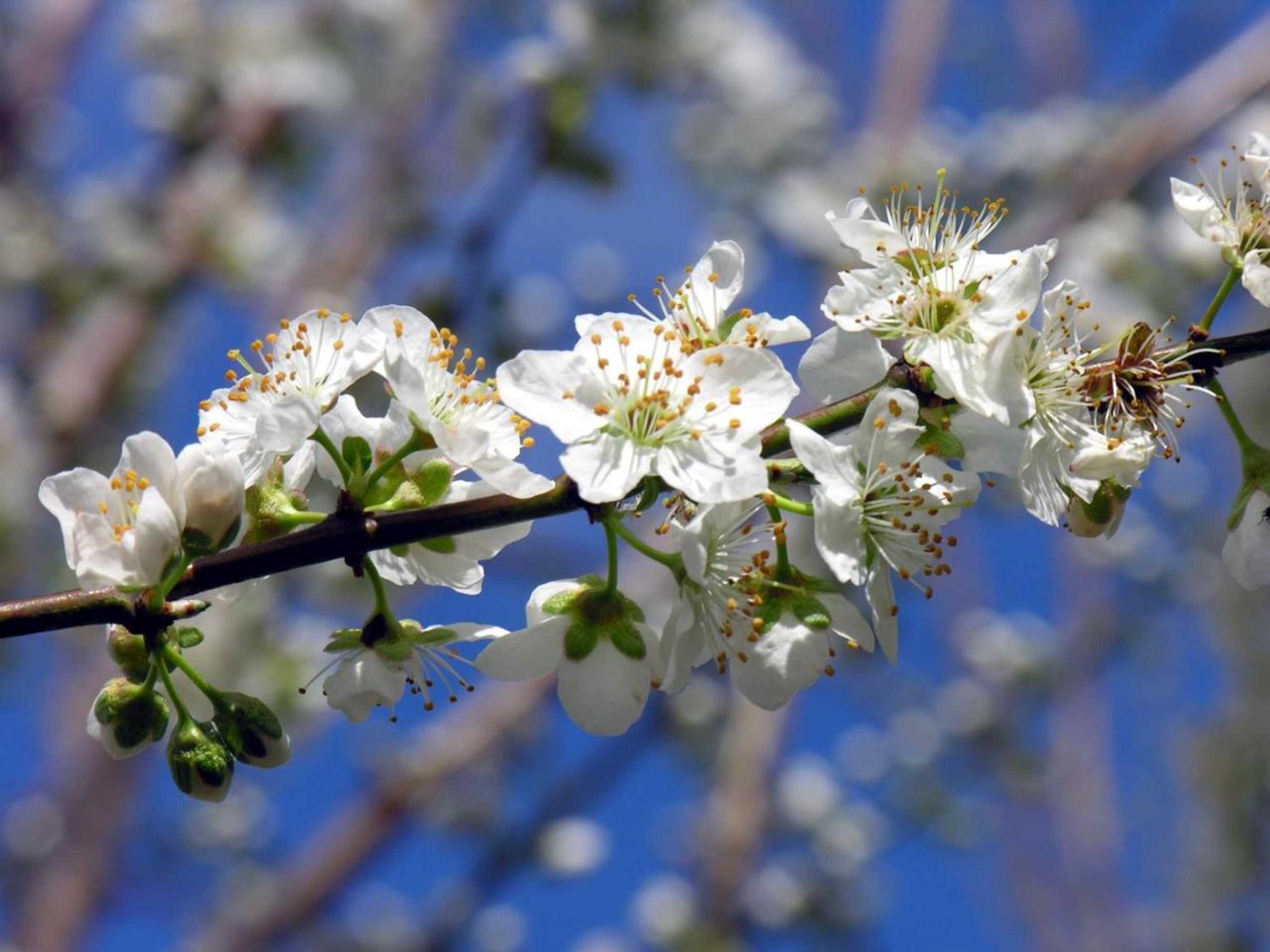 Gift card for HI Foz Coa - Pousada de Juventude