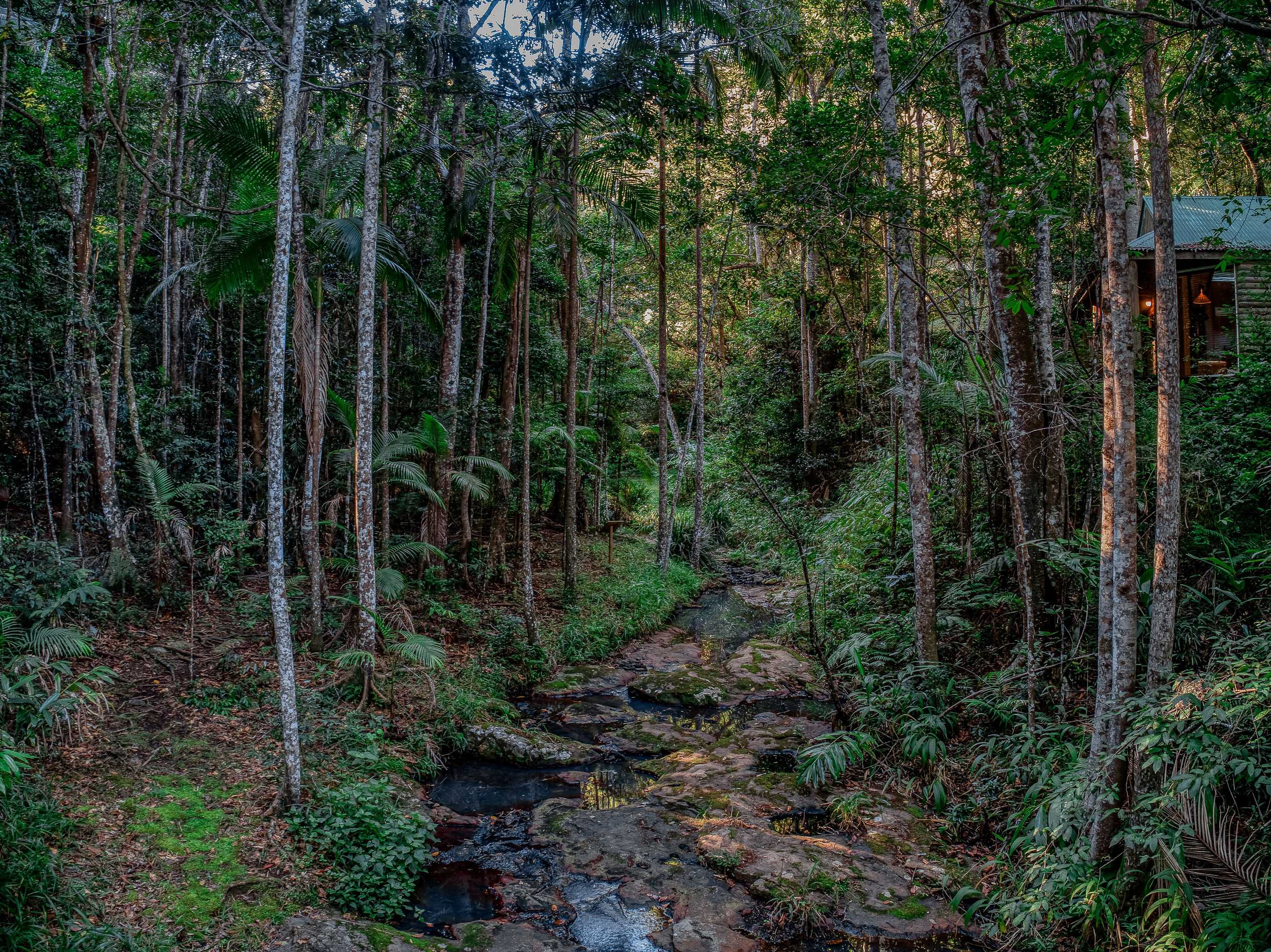 Gift card for Narrows Escape Rainforest Retreat Gift card for Narrows Escape Rainforest Retreat
