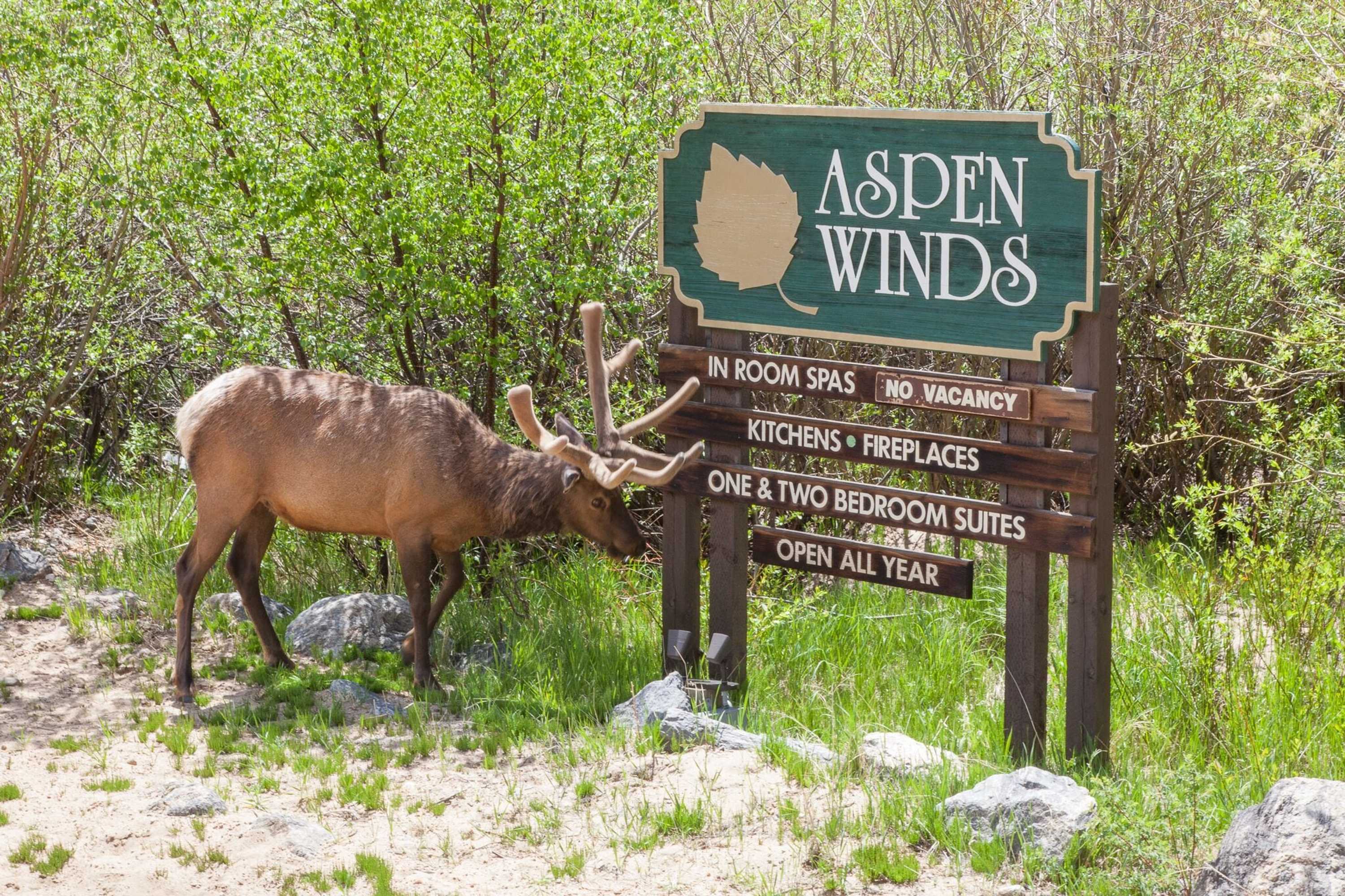 Gift card for Aspen Winds on Fall River Gift card for Aspen Winds on Fall River