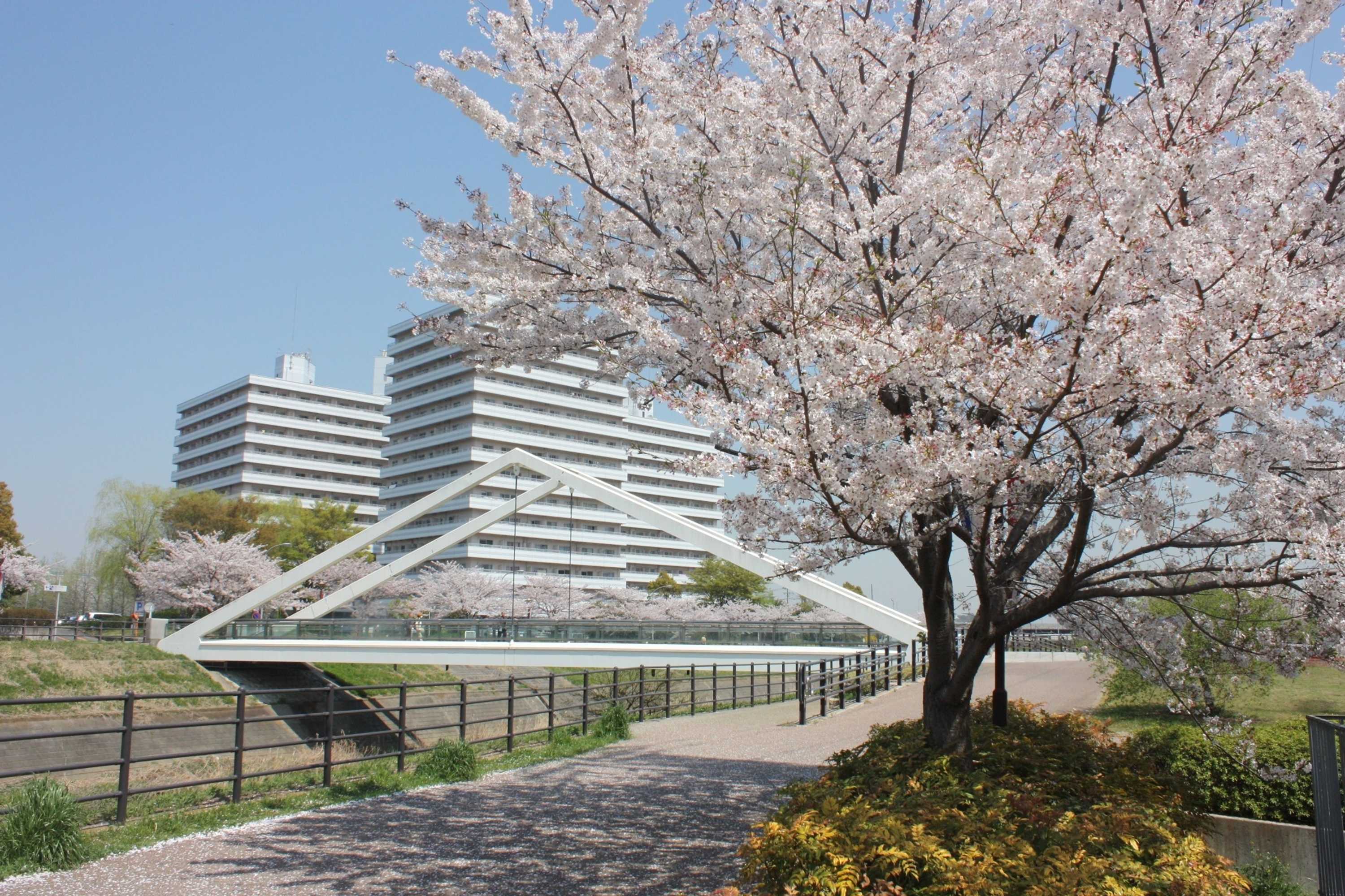 Gift card for Shin Yokohama Prince Hotel