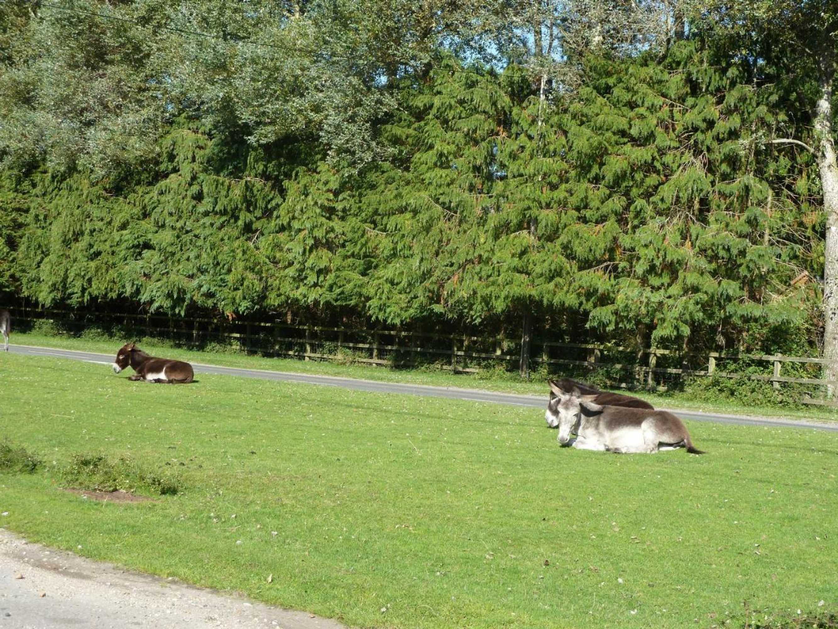 Gift card for Cameron House