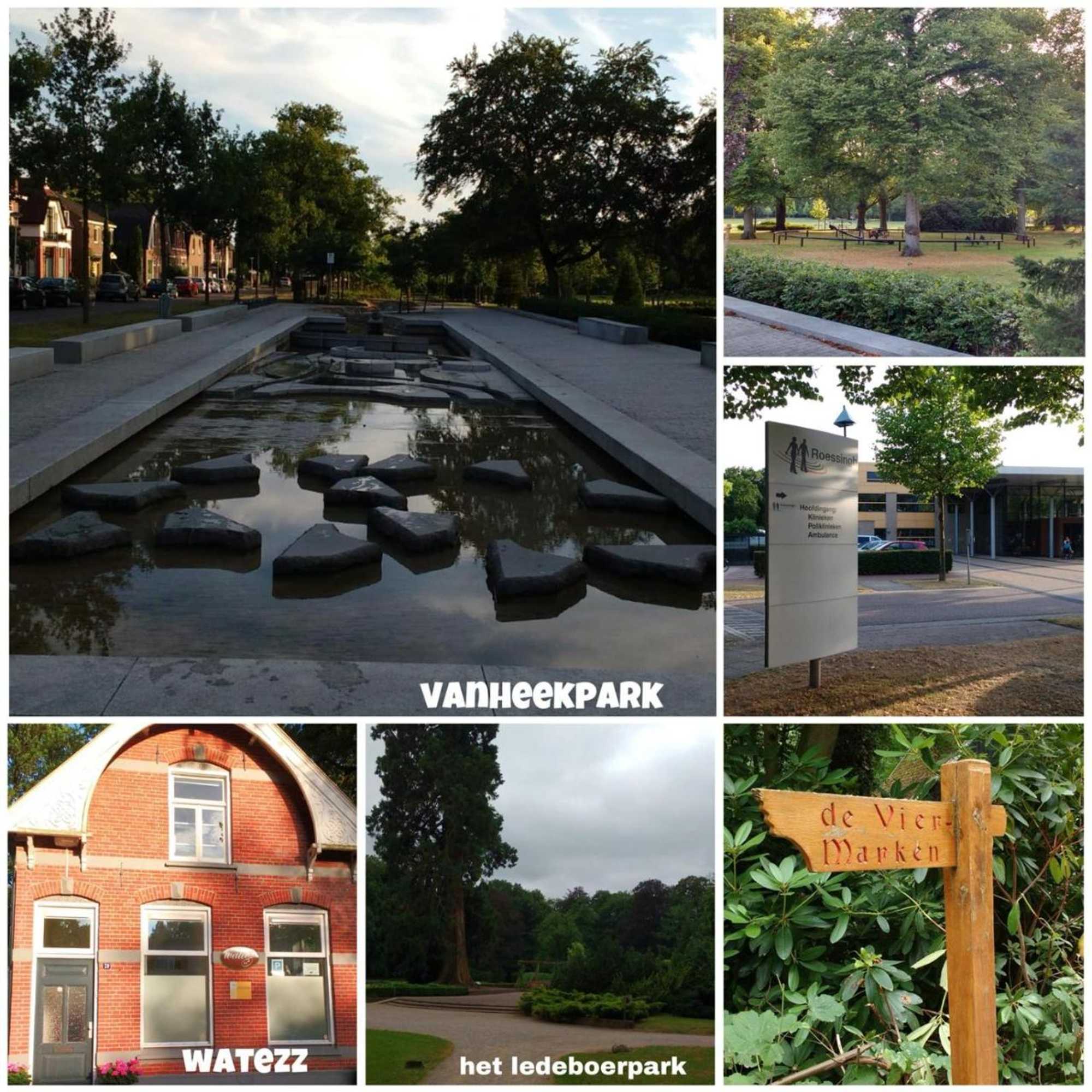 Gift card for B & B Chawe