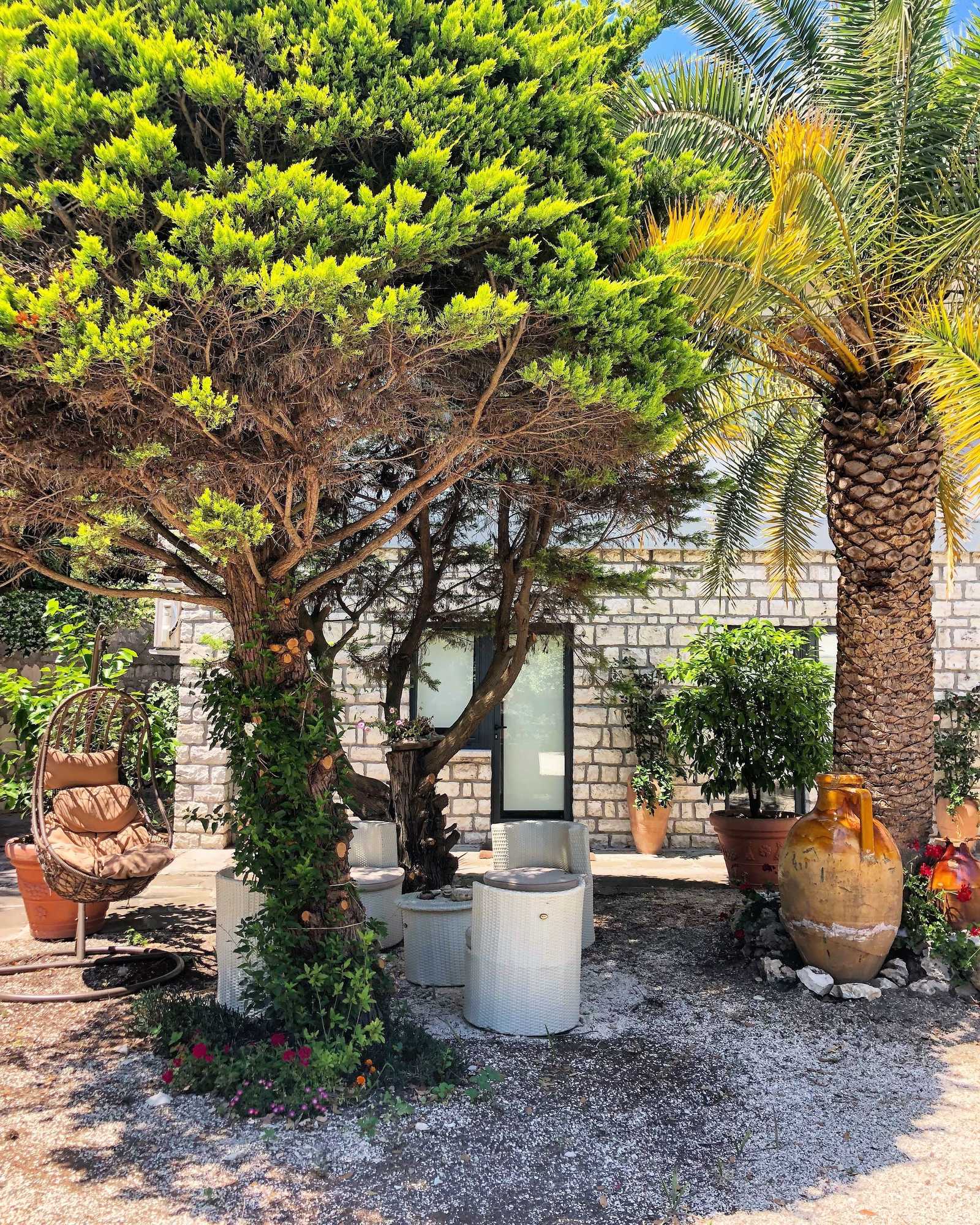 Gift card for Le Due Palme Sirolo B&b
