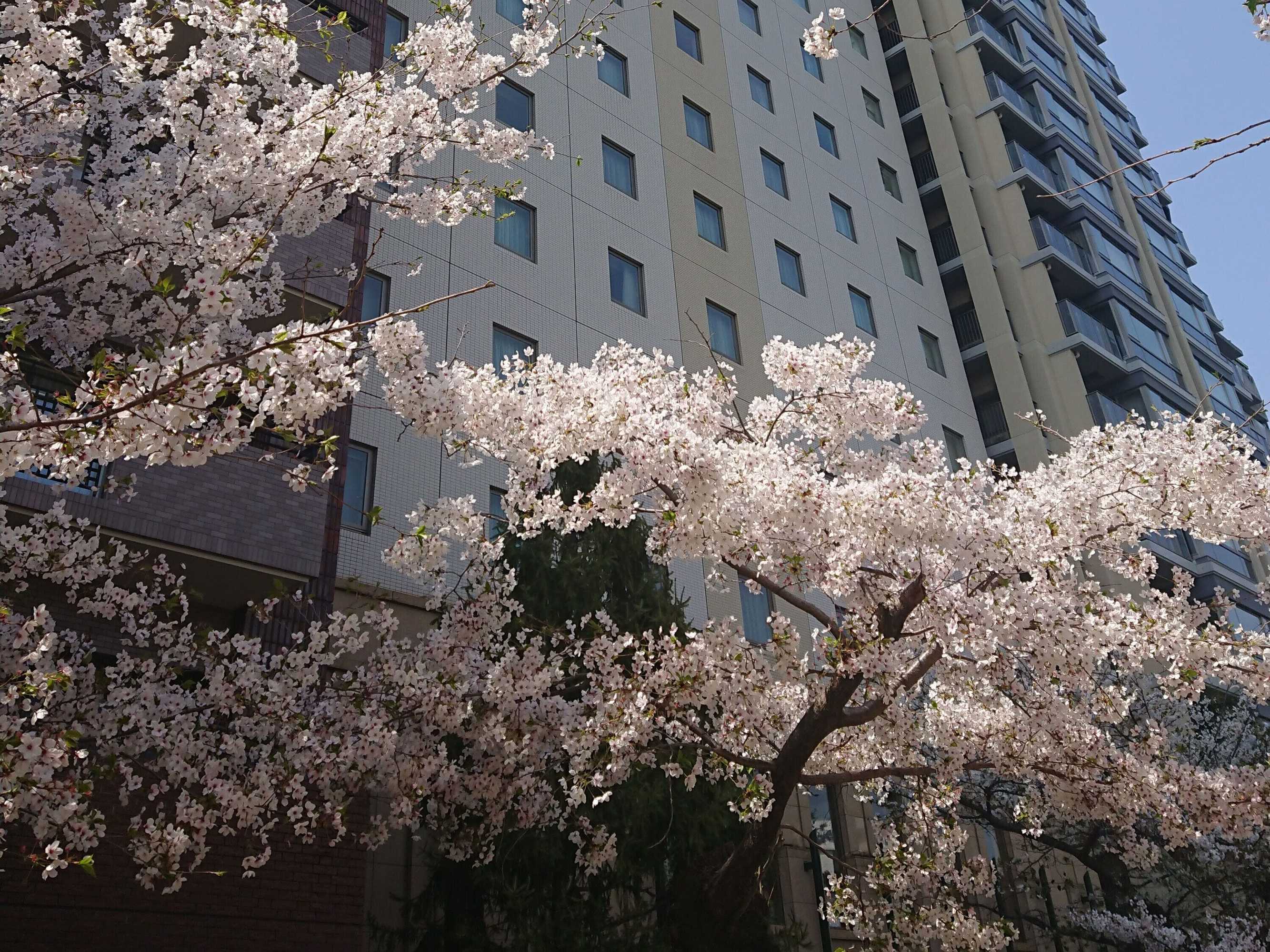 Gift card for The Royal Park Hotel Hiroshima Riverside Gift card for The Royal Park Hotel Hiroshima Riverside