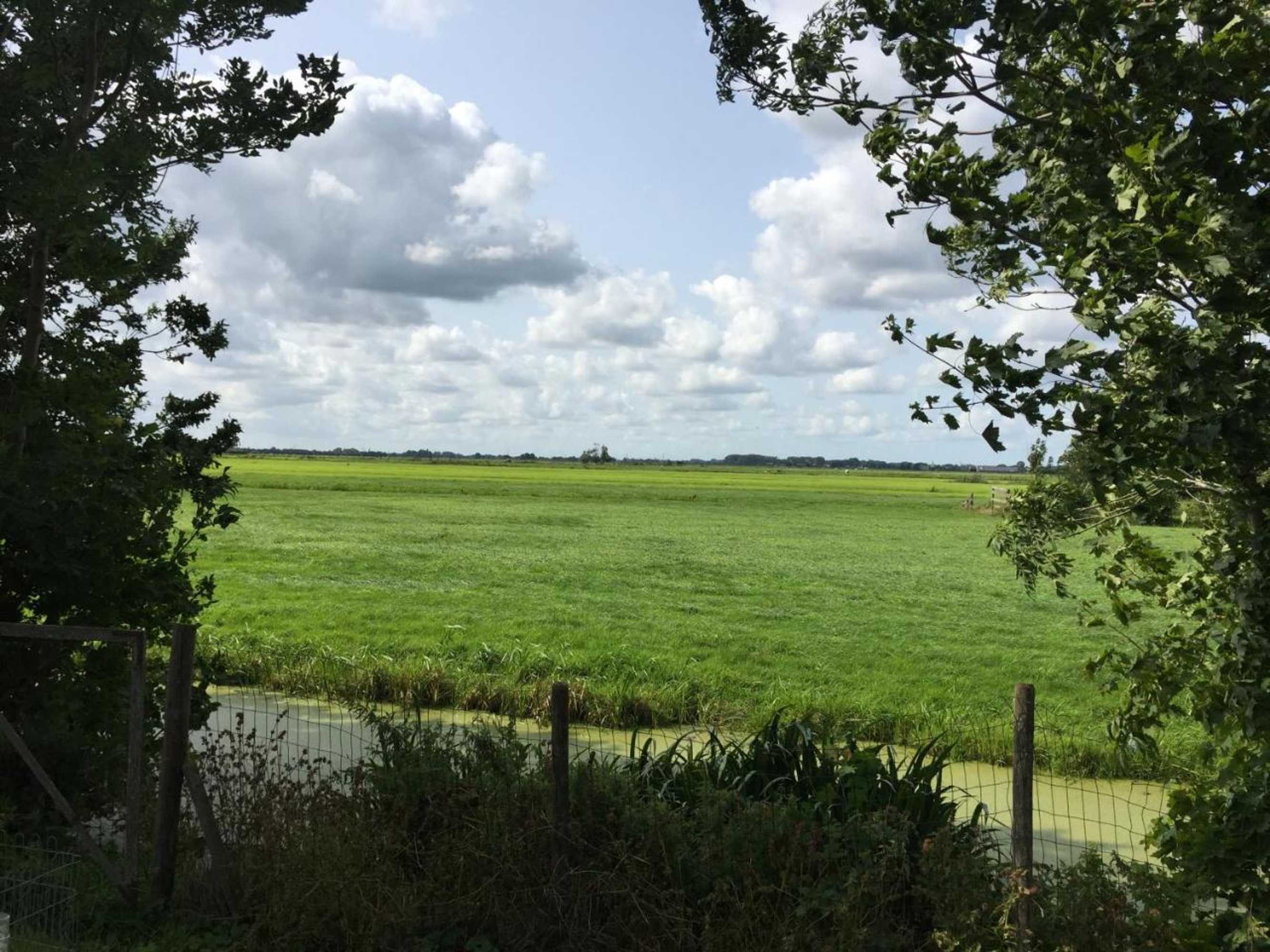 Gift card for Droomgaerd