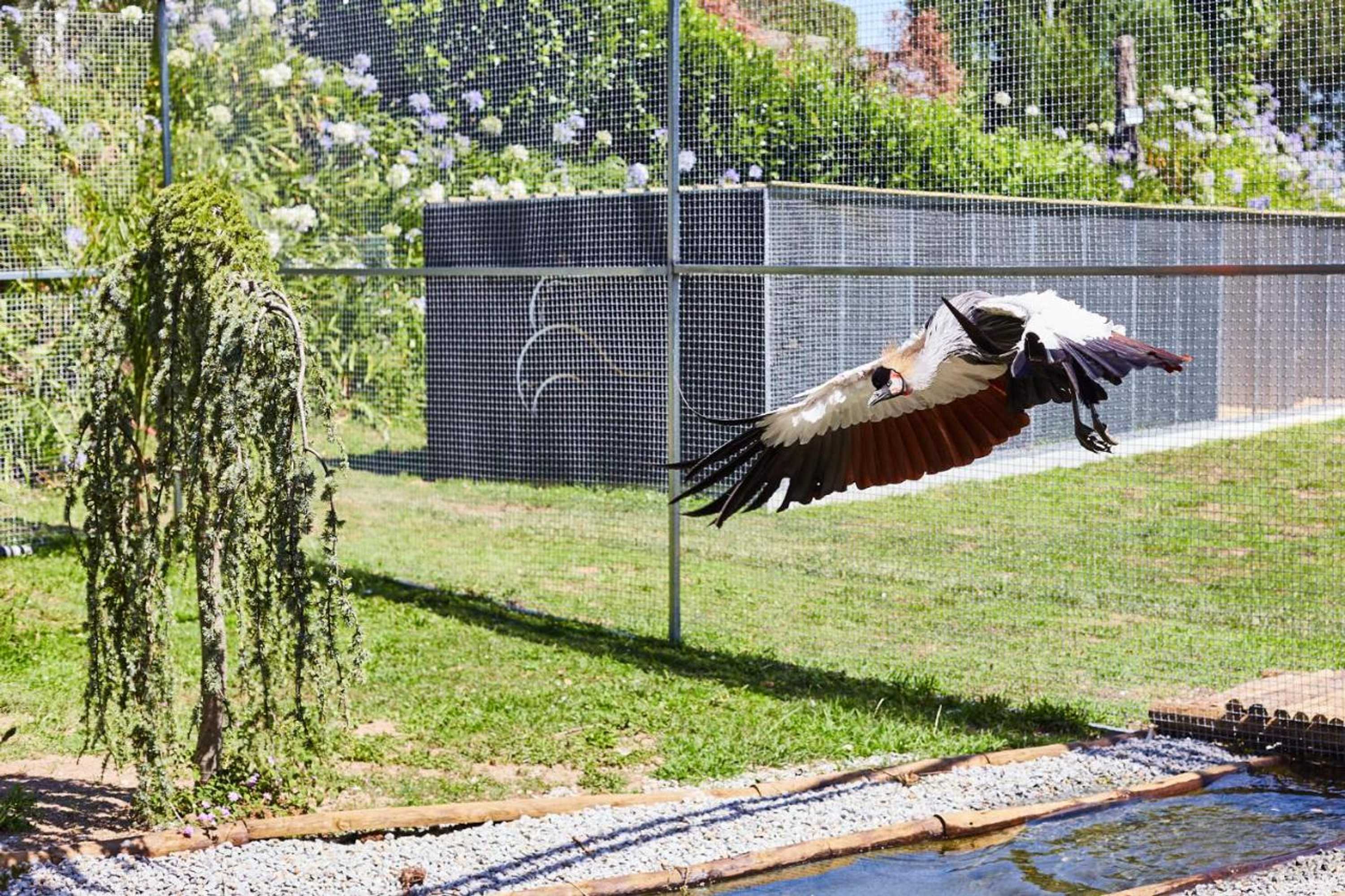 Gift card for Quinta do Lordelo Turismo Rural Gift card for Quinta do Lordelo Turismo Rural