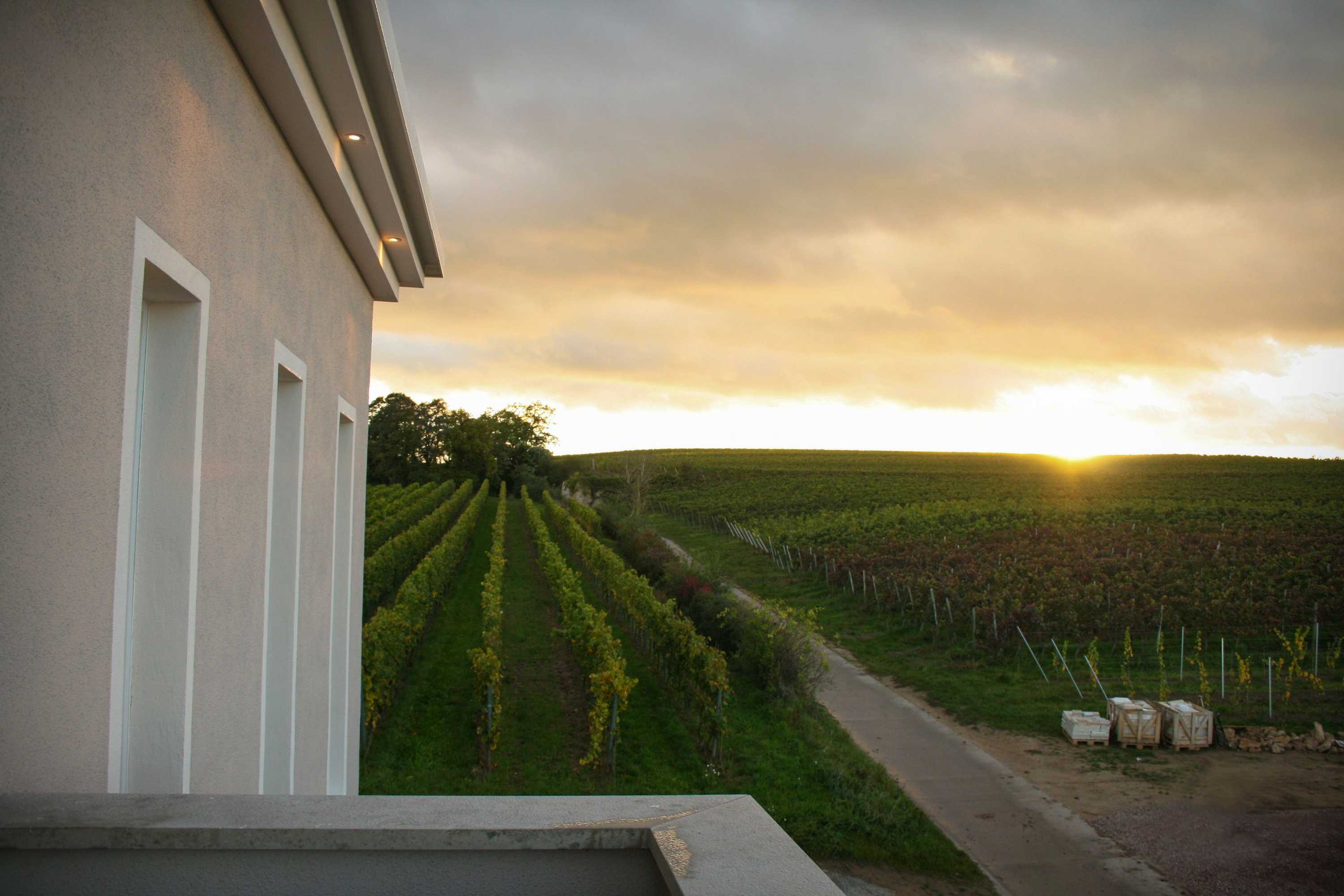 Gift card for Trautwein - Das Winzerhotel am La Roche Gift card for Trautwein - Das Winzerhotel am La Roche