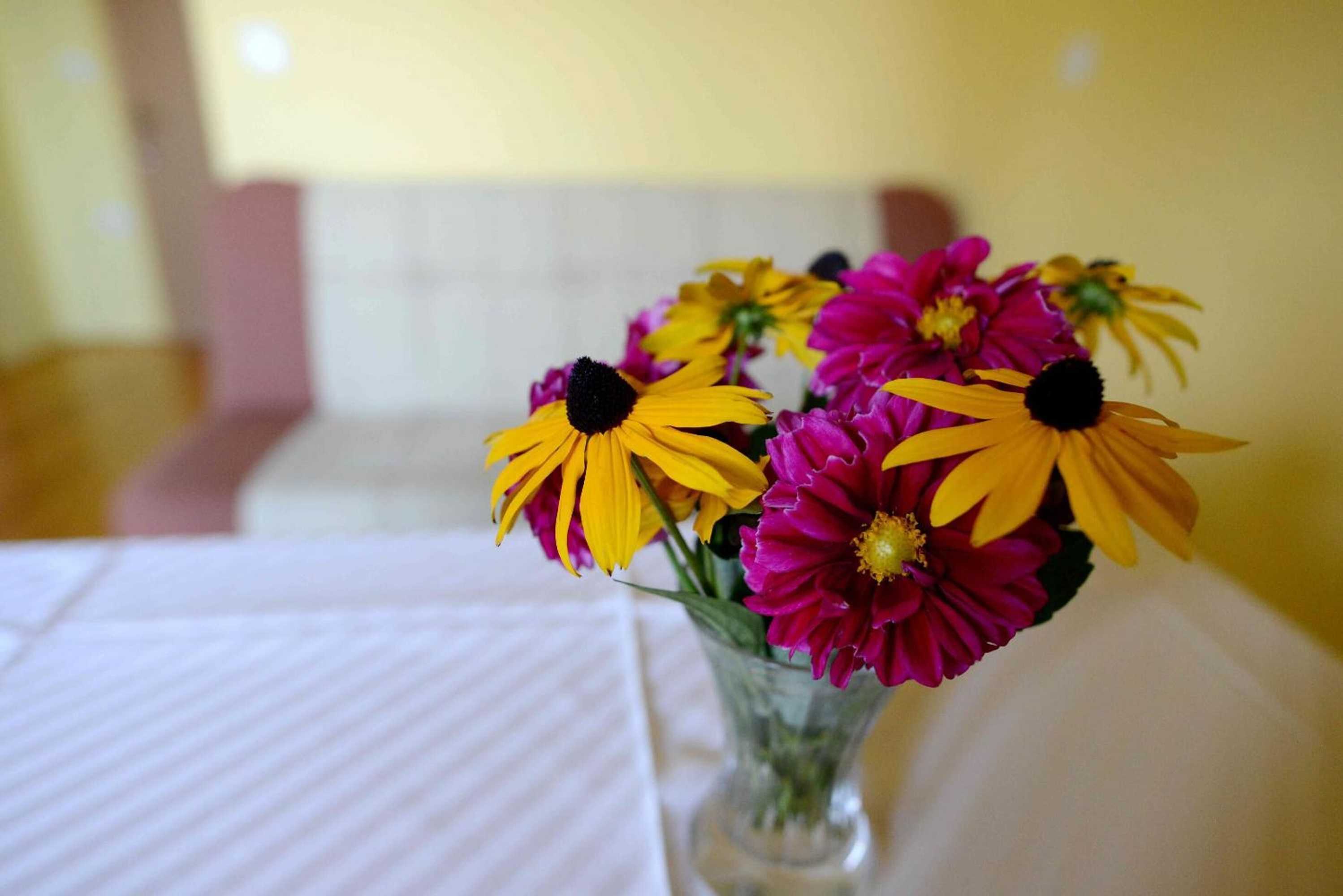 Gift card for Guest House Koprivnik Gift card for Guest House Koprivnik